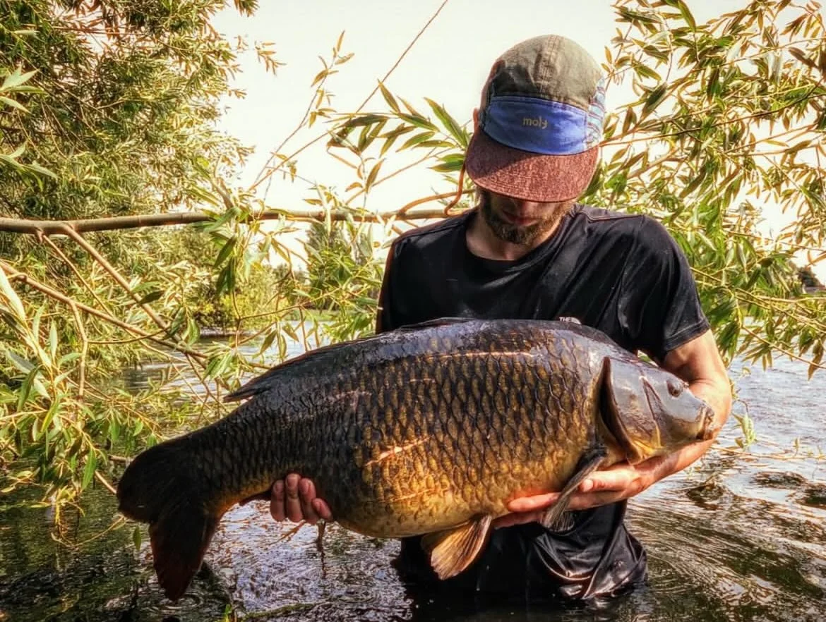 @t__banx getting the job done with RMhookbaits as usual 😎👌

&ldquo;Taking it back to early august this year when this old brute of a common made a mistake in her daily routine..... resulting in another capture at 31lb and ounces&hellip;&hellip;..wh