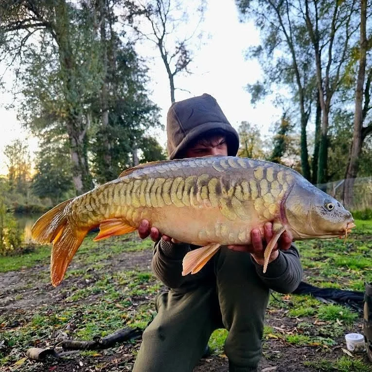 Unbelievable! Within just two minutes of casting out one of our Whiskey wafters 🥃 @s3hrh had these stunning fish 

#RMhookbaits #whiskey