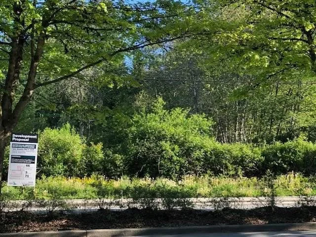 A wooded area with lush green trees and bushes, a development proposal sign on the left and a sidewalk in the foreground.