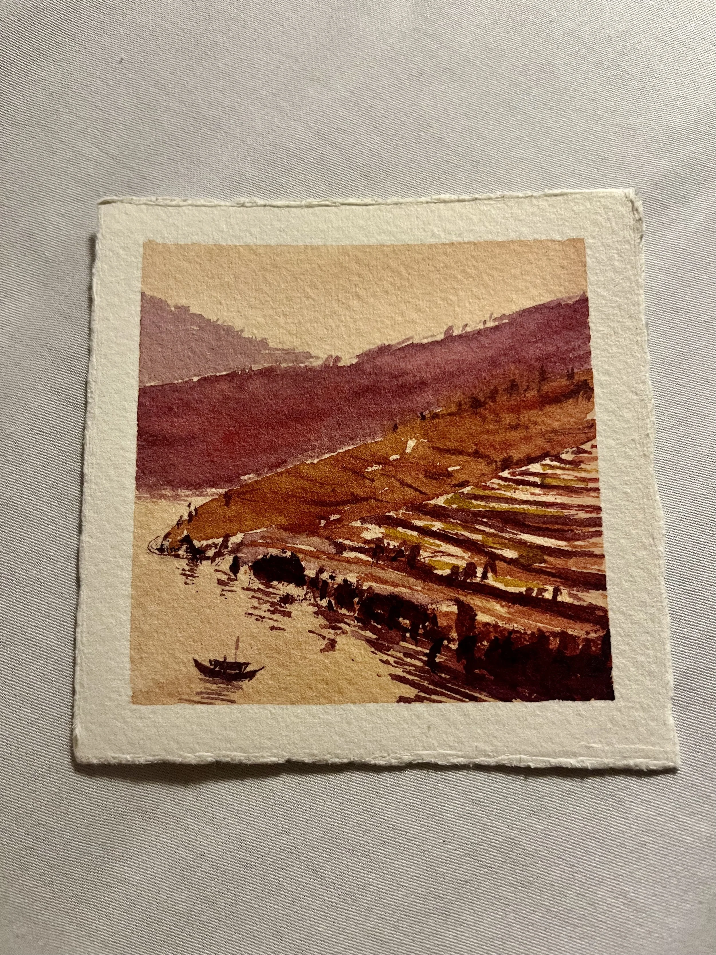 IMG_6905.jpeg