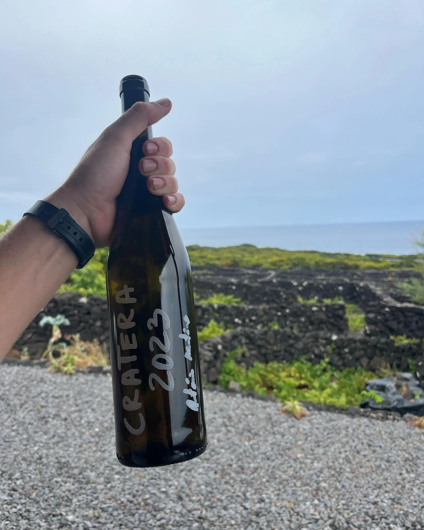 After harvesting grapes yesterday morning shared a traditional Azorean meal with the crew and got to take home a bottle of @ag.sfm91 Cratera Arinto dos A&ccedil;ores 2023. I look forward to sharing this with the @wintour_master gang soon #winemaking 