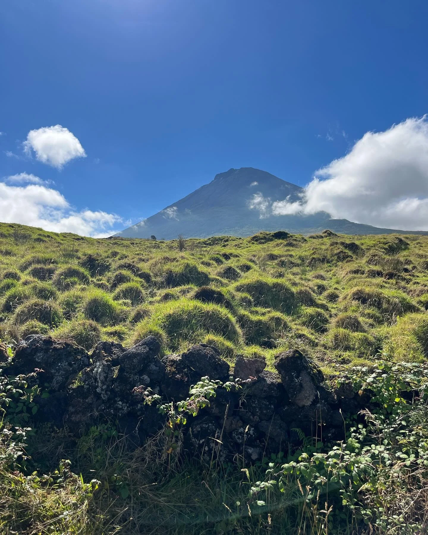 2 days until harvest! The countdown has begun here on Pico. Had some time pre harvest to explore the island and get to enjoy these beautiful views. #pico #harvest #azores #portugal #winemaking