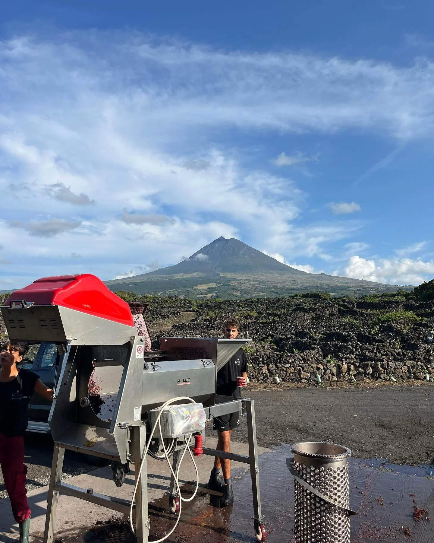 Cleaning the destemmer with a view #azores #winemaking #wine #vinho @azoreswinecompany