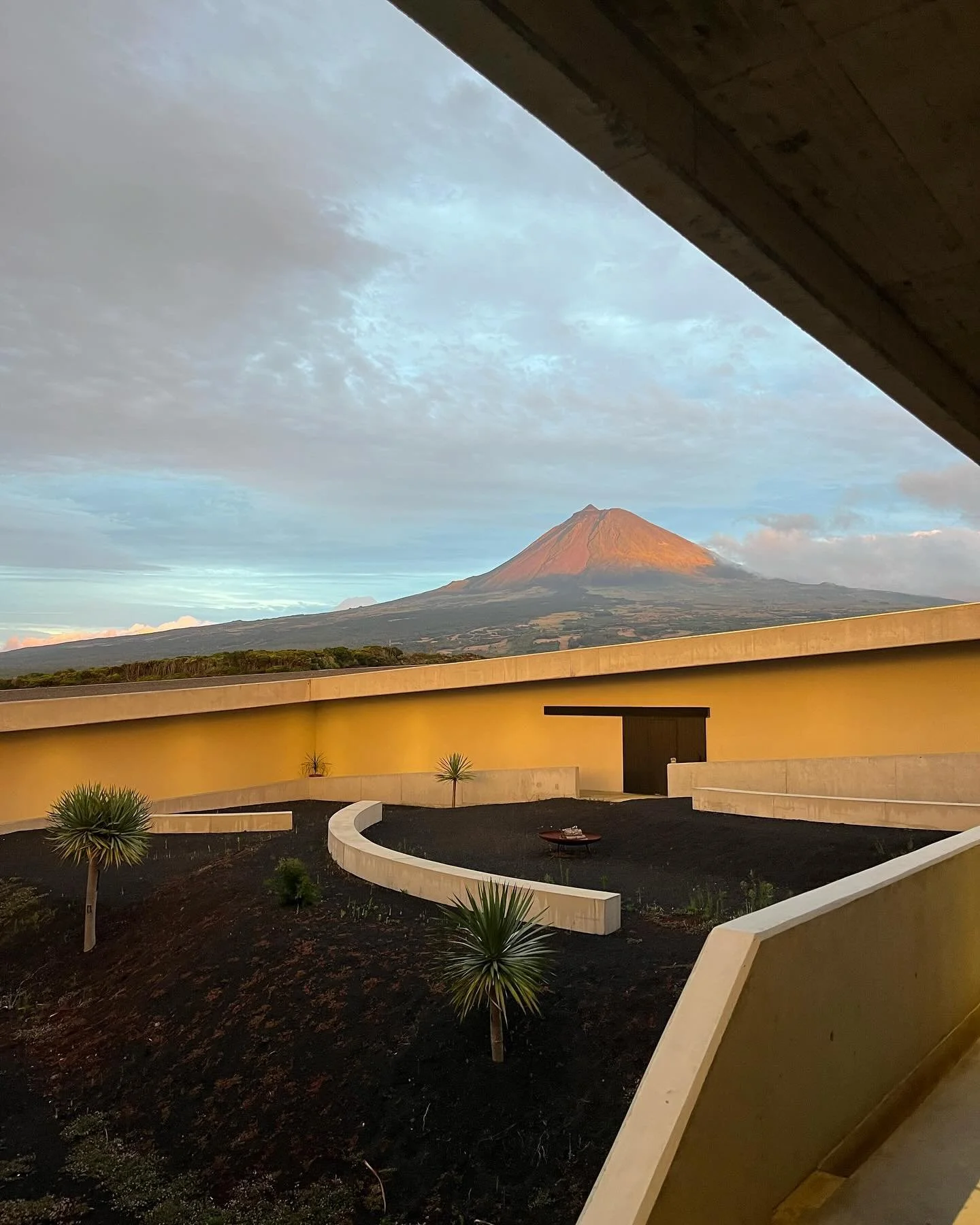 The view of Mount Pico inside the winery I&rsquo;m working at. #countdowntoharvest #wine #winetravel #winery #pico #mountpico #winesofpico #winemaking