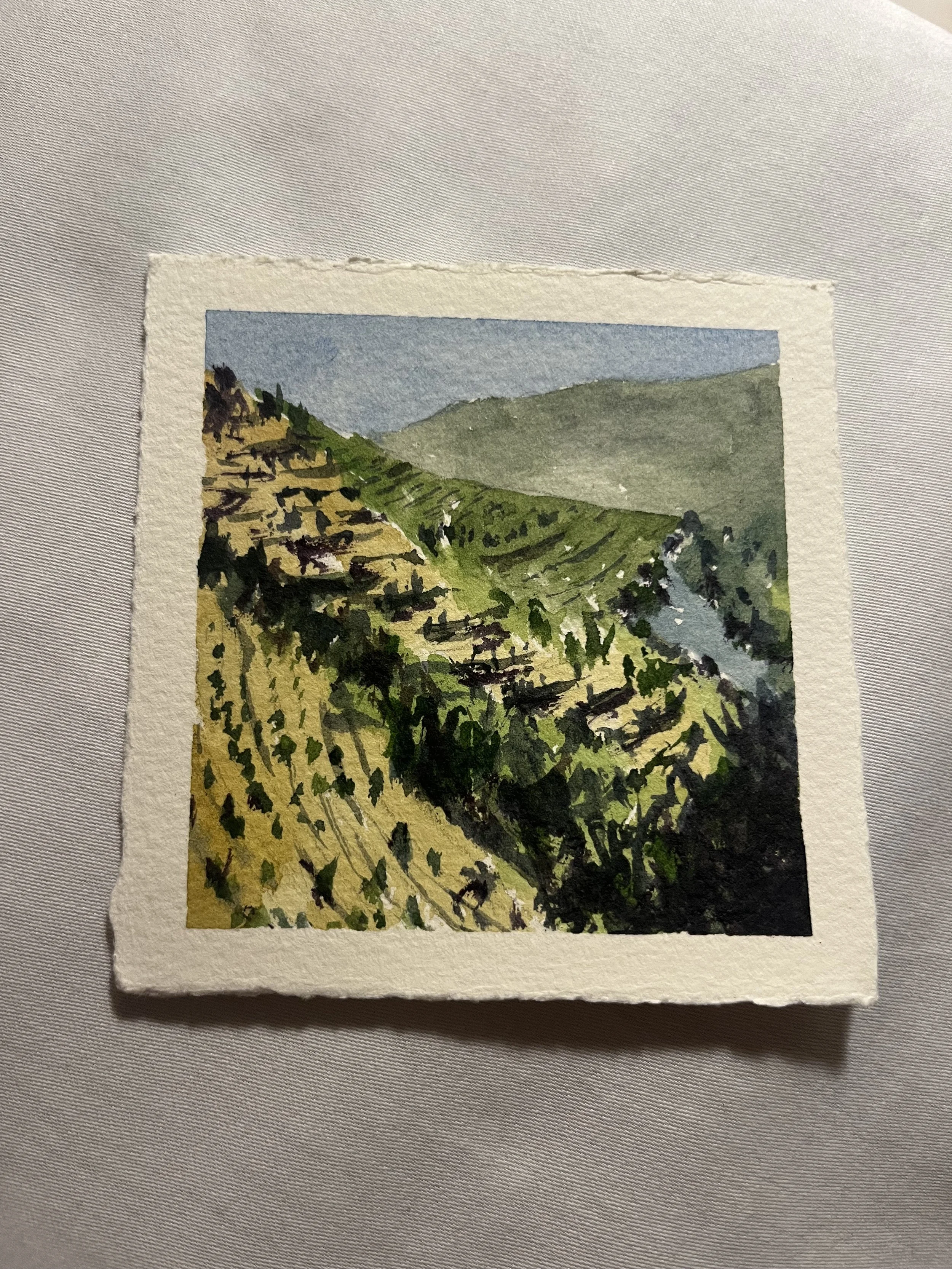 IMG_6909.jpeg