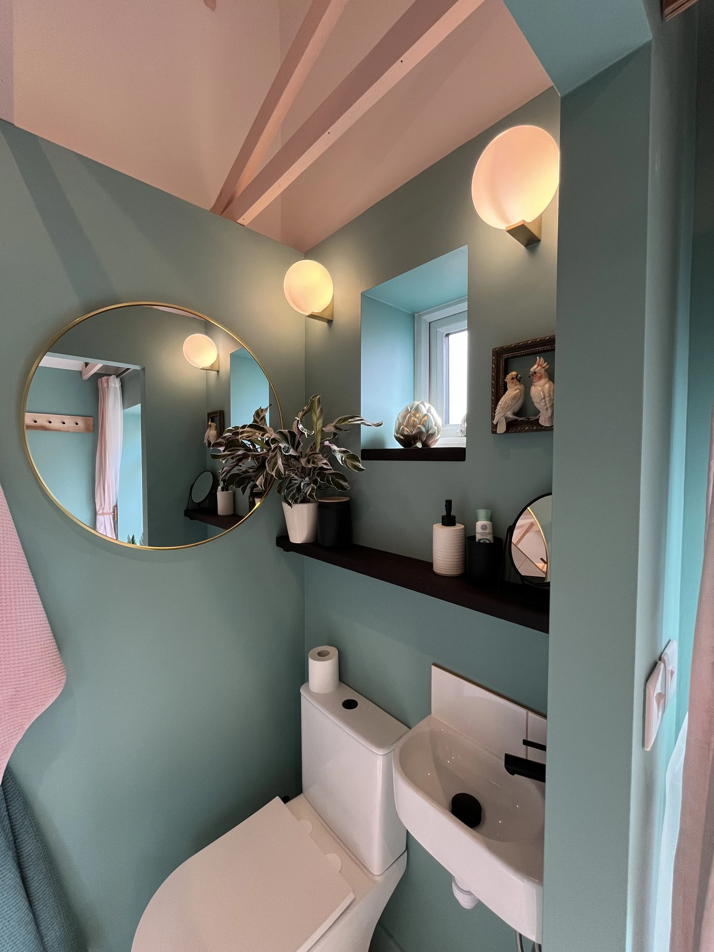 IMG_4696.jpeg