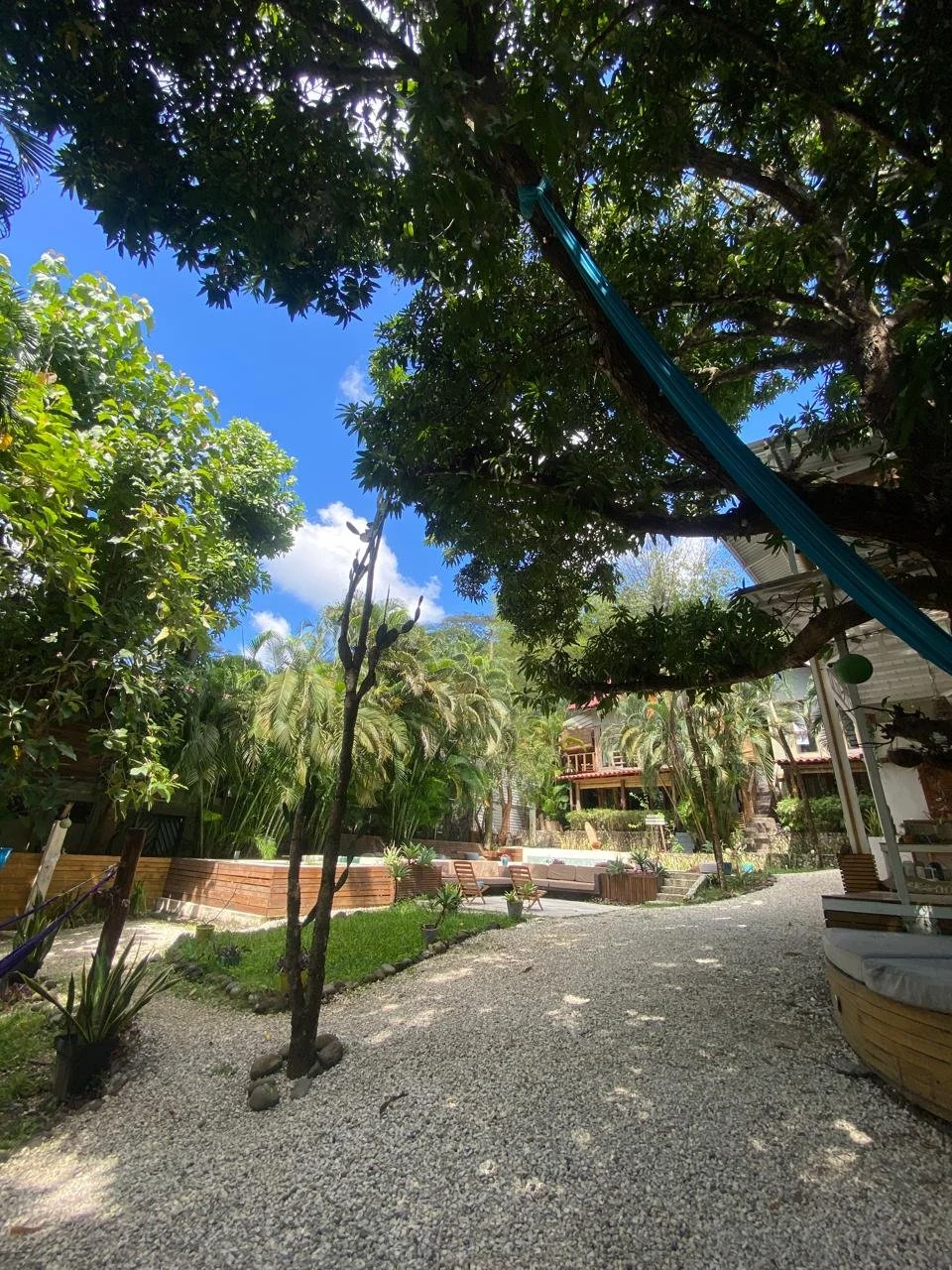 WhatsApp Image 2024-12-14 at 12.03.19 PM.jpeg