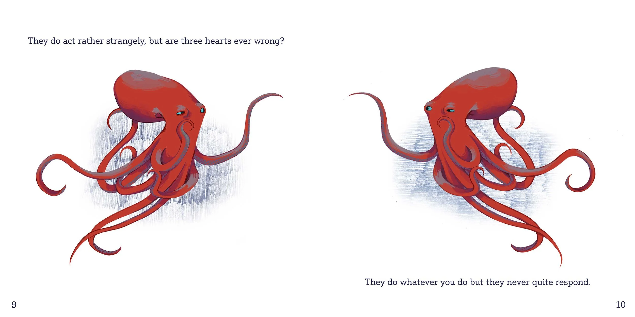 octopus-spread-5-text-small.jpg