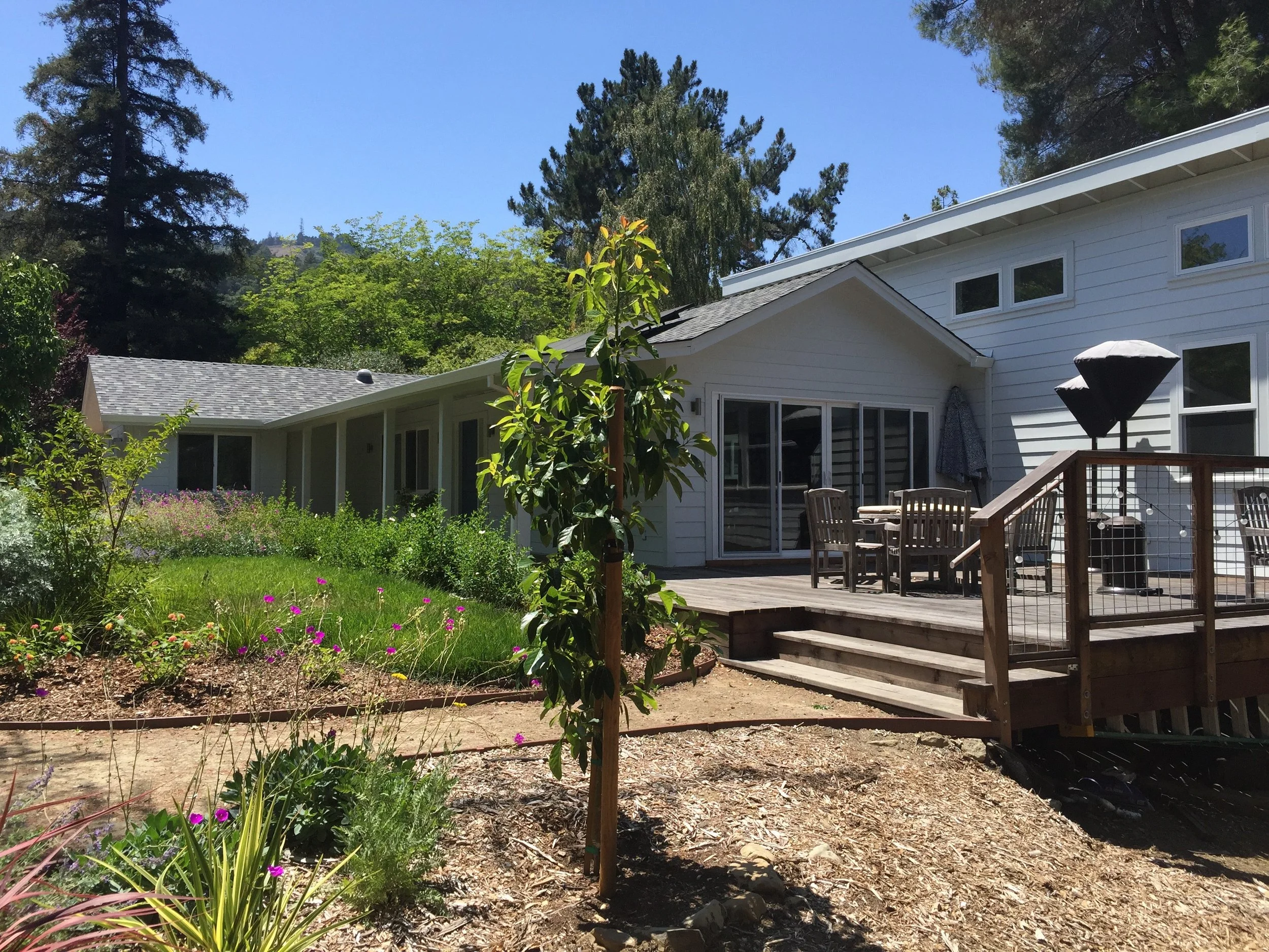 Backyard with a wooden deck, outdoor dining table and chairs, surrounded by green garden plants, trees, and a white house with sliding glass doors and multiple windows, under a clear blue sky.