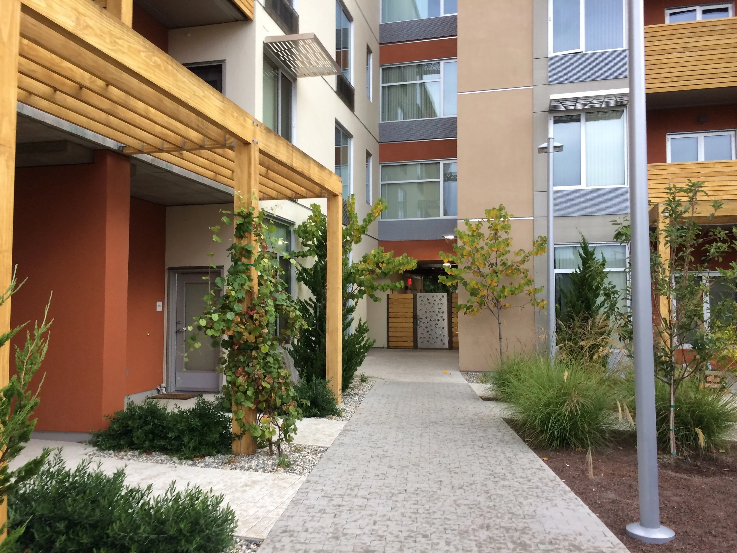 Modern multi-story apartment complex with landscaped courtyard, paved walkway, wooden pergola, small trees, and outdoor lighting fixtures.
