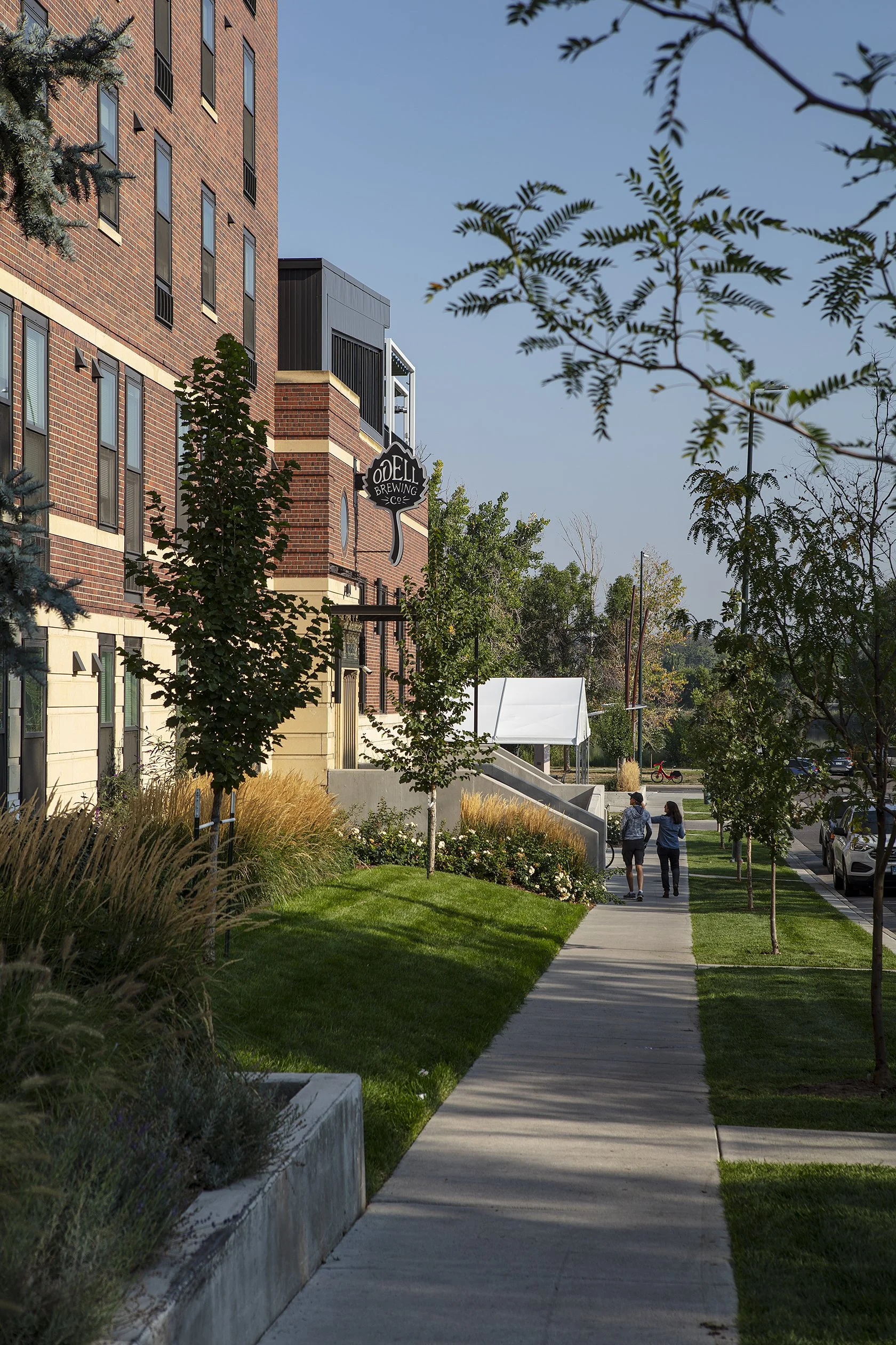 Sidewalk in a residential or commercial area with trees, grass, and plants lining the street. Two people are walking along the sidewalk, and a building with a sign that reads 'ODEL BREWING CO.' is visible on the left side. The sky is clear and blue.