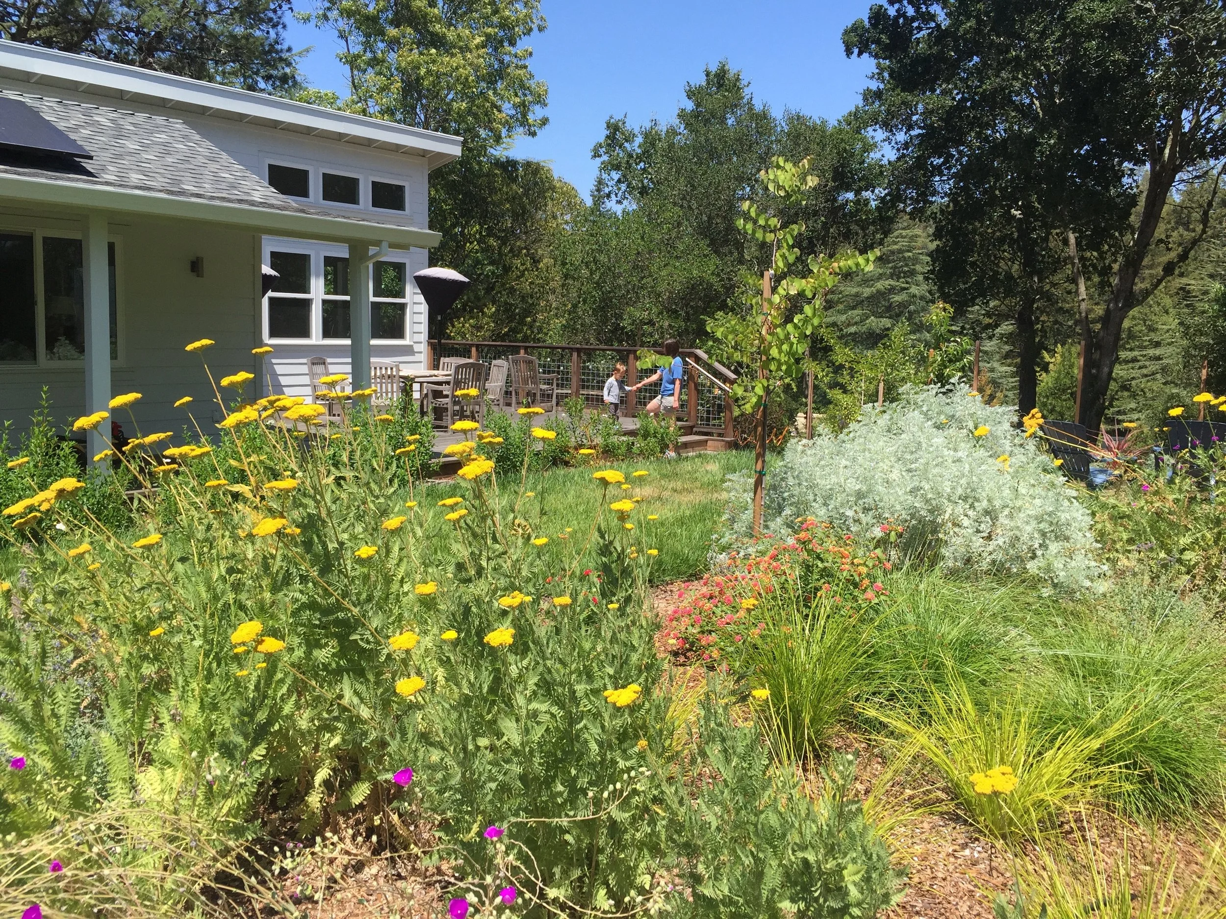 A backyard garden with yellow and purple flowers, green shrubs, and trees, featuring a deck with outdoor furniture and people walking on it, in front of a white house with large windows and a gray roof.