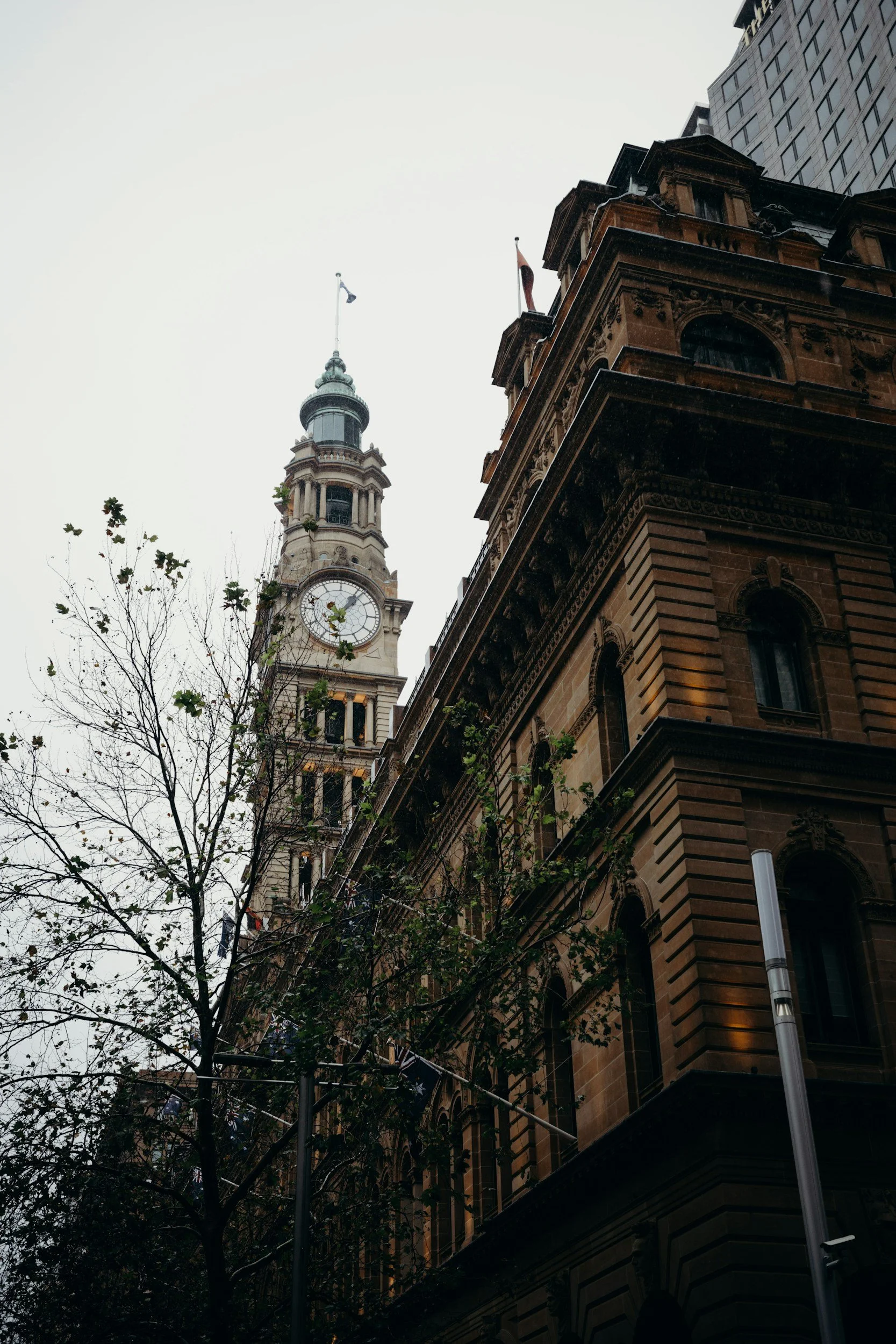 View of a historic building with a clock tower and a spire, surrounded by a tree and a lamppost, in an urban setting.