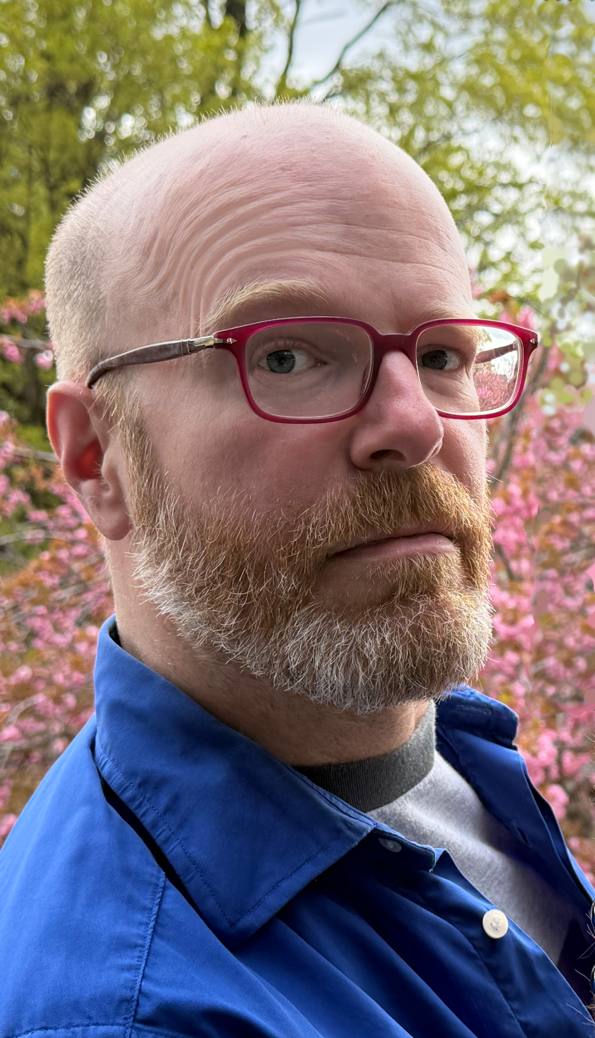 Tim Finn, a man with a beard and glasses with red frames, wearing a blue shirt, outdoors with pink flowering trees in the background.