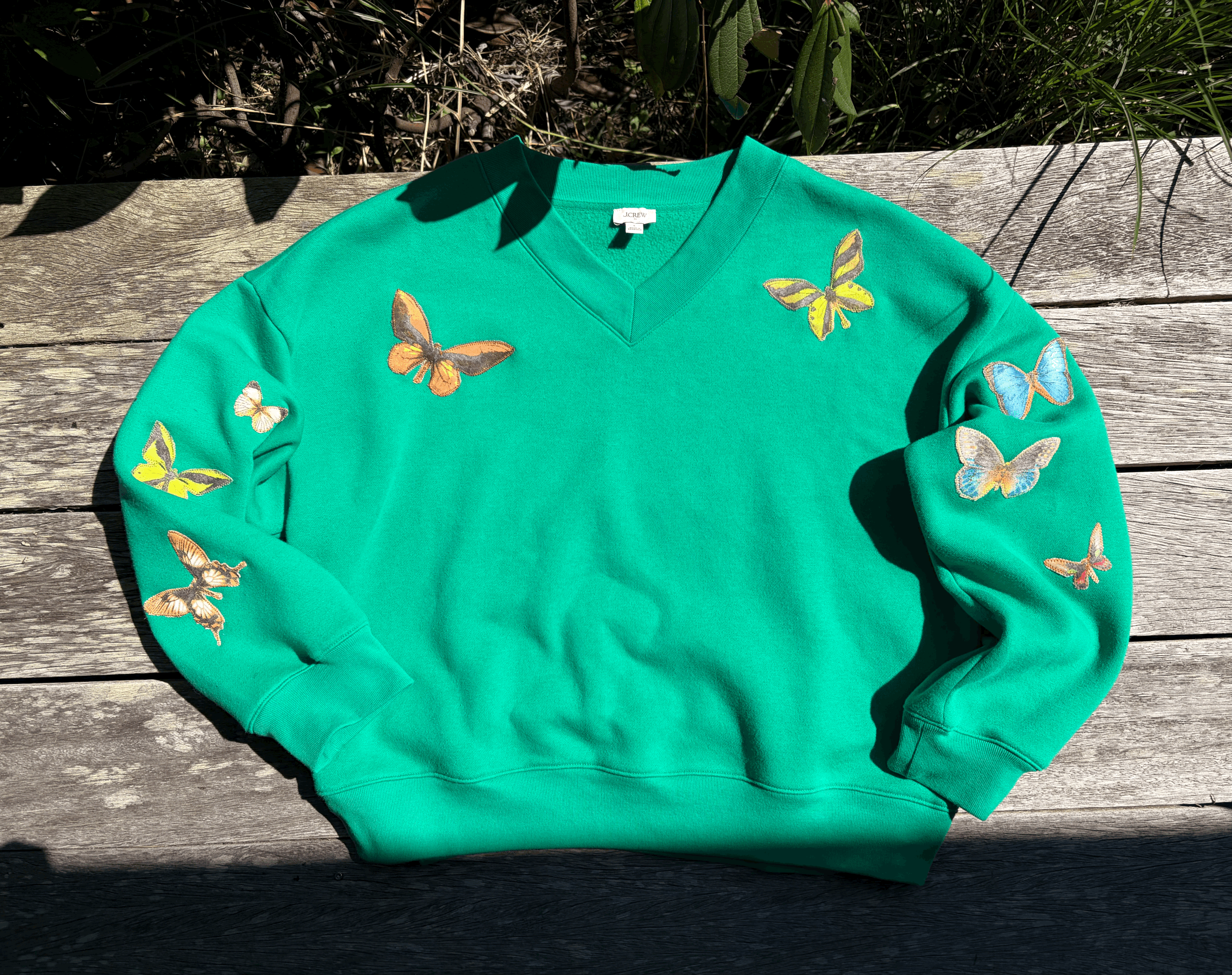 Butterfly Season