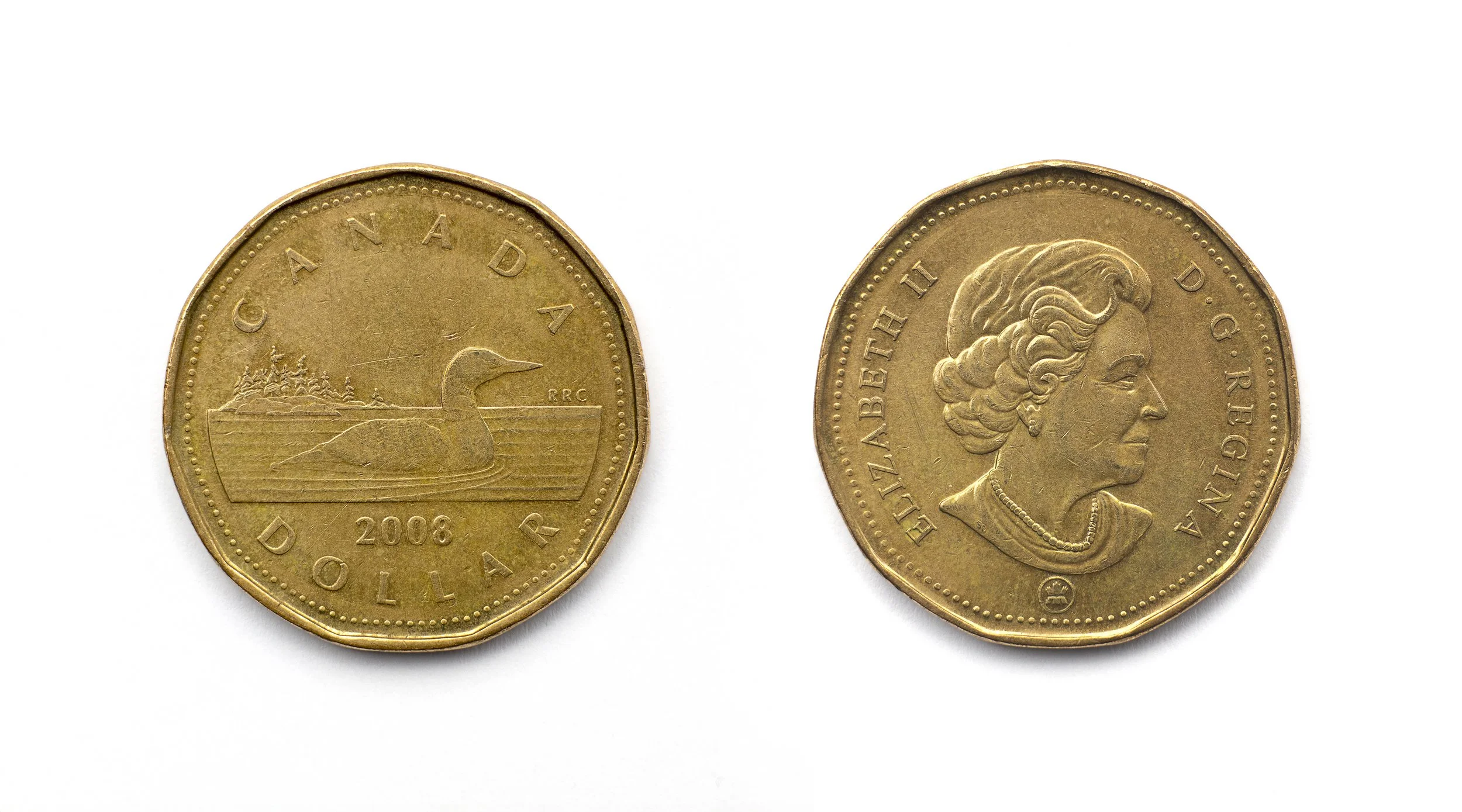 Loonie Front and Back 10x18 300dpi.jpg