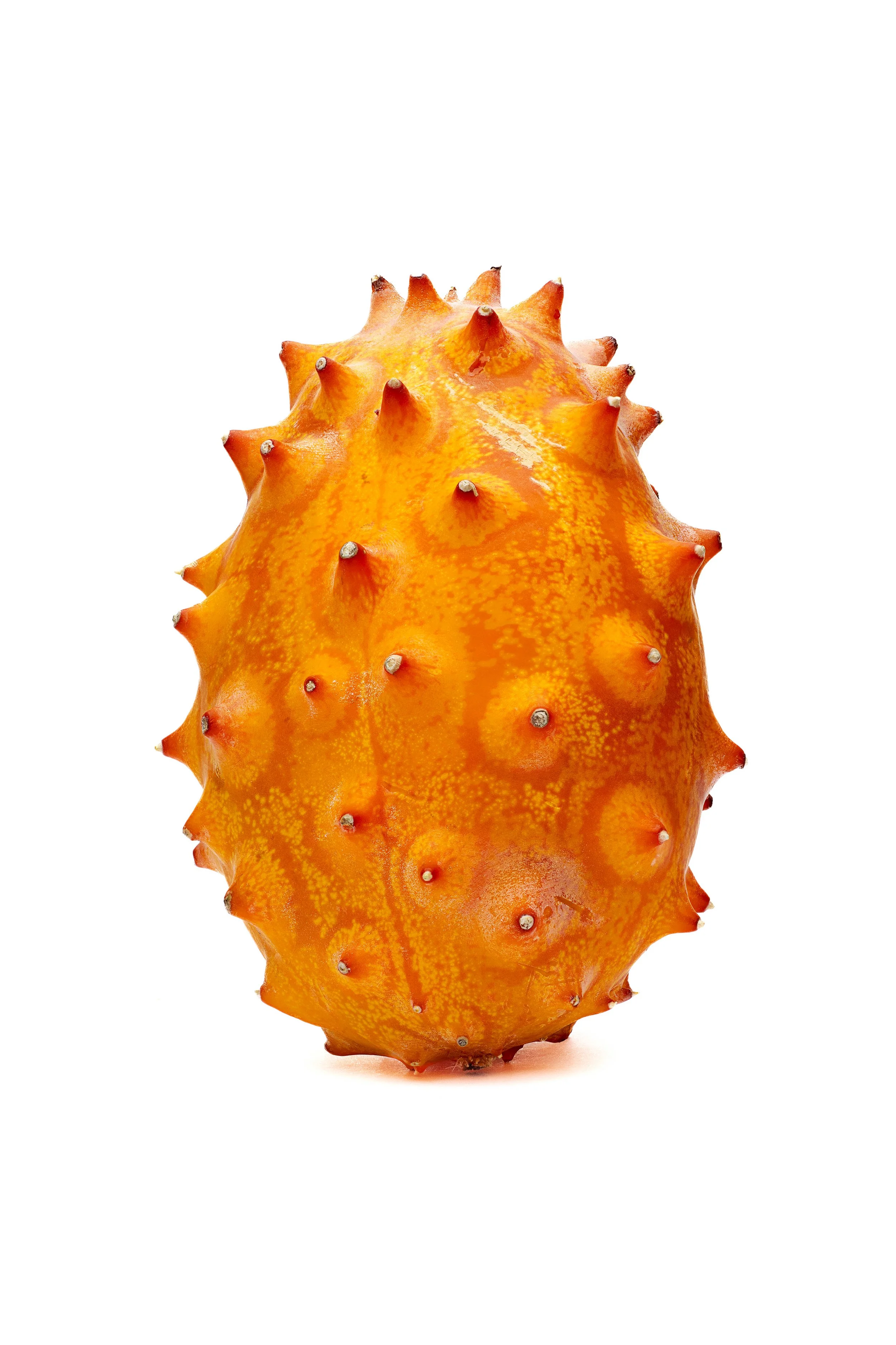 Kiwano Master 2 8x12 300dpi.jpg