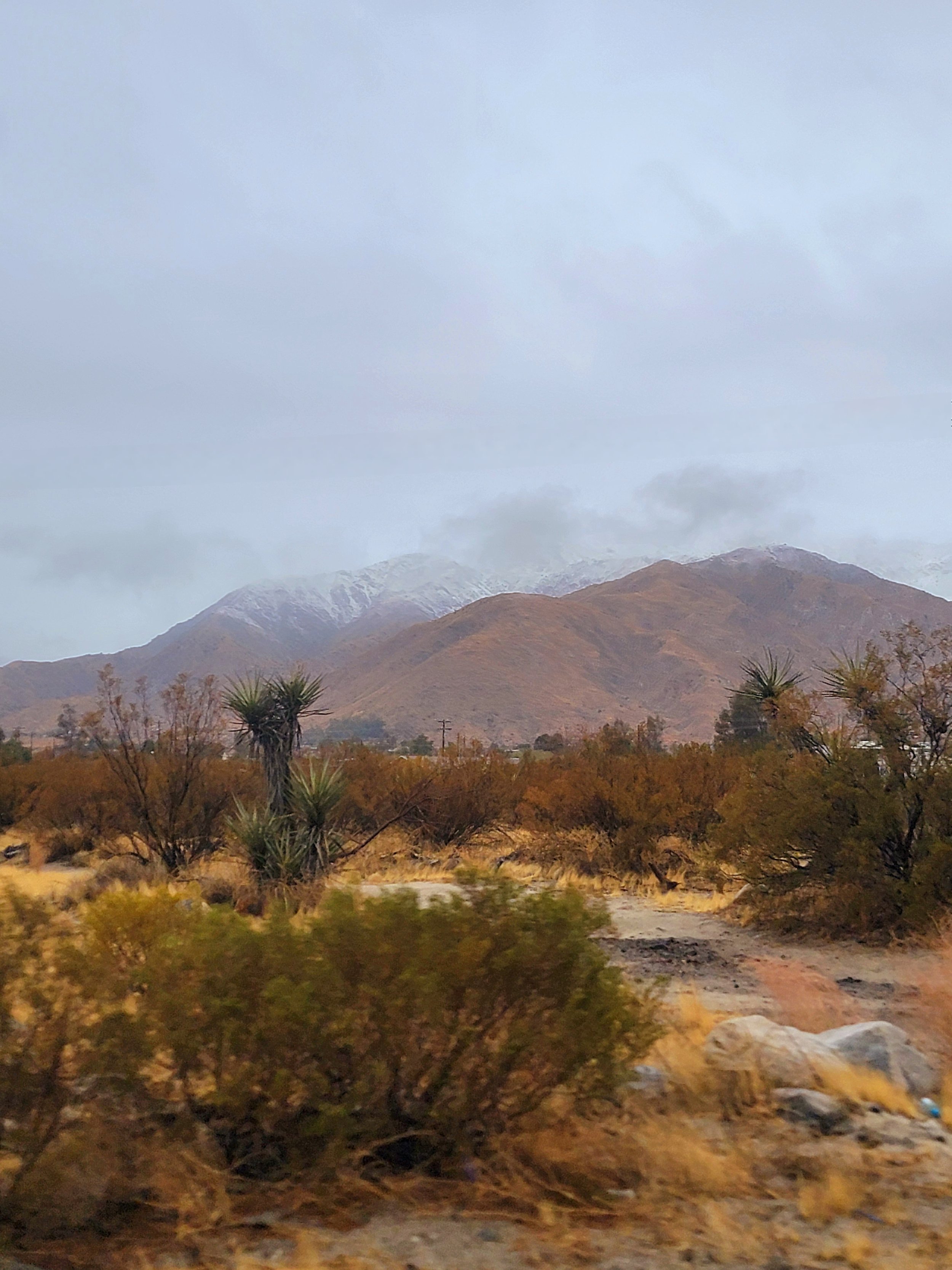 High desert landscape with snow-dusted mountains near Joshua Tree and Twentynine Palms, California