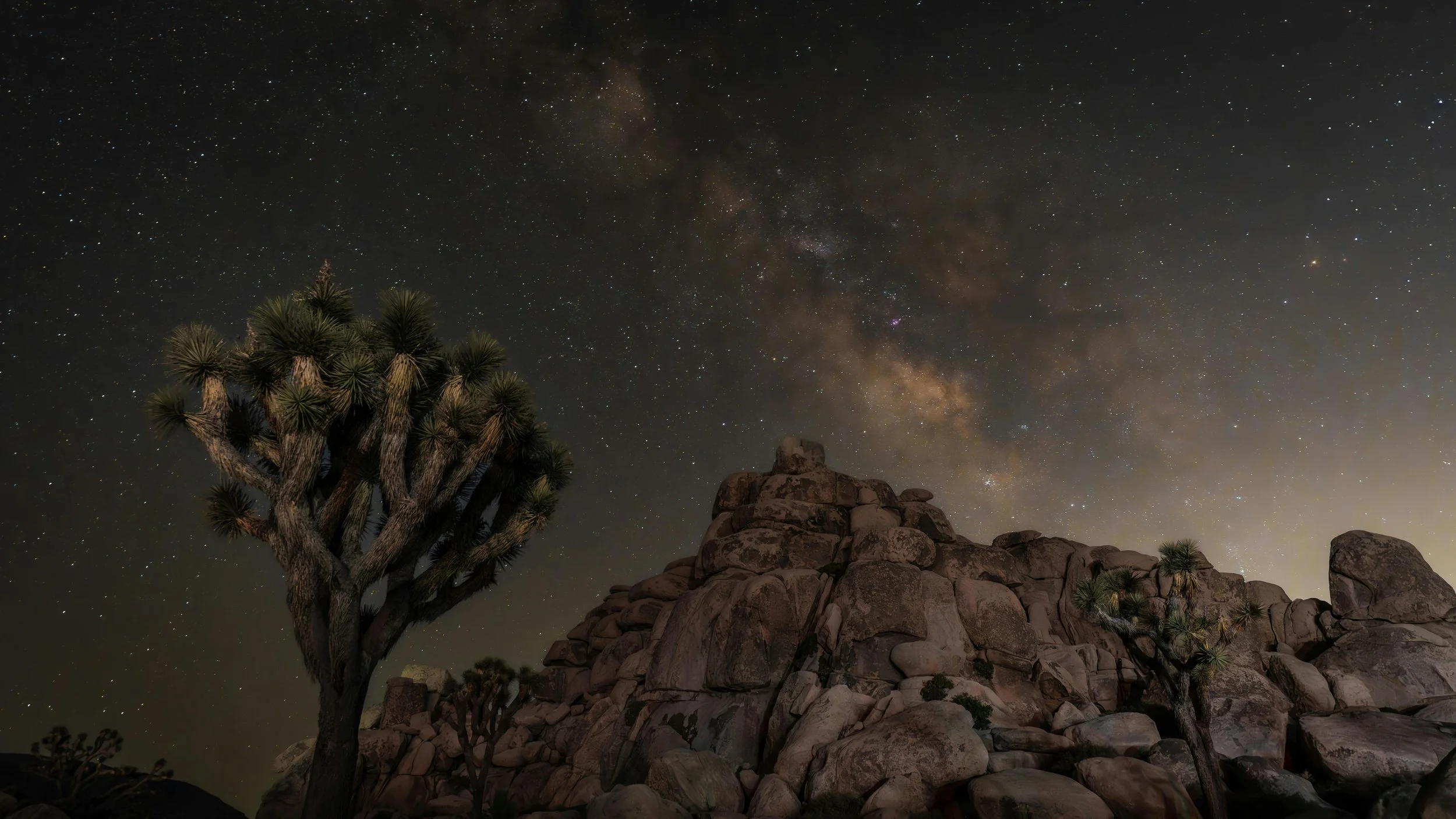 A quiet high desert night with the Milky Way glowing above Joshua trees and rock formations.
