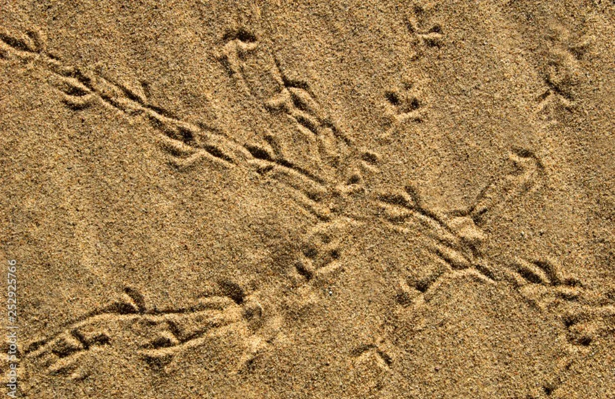 sand.jpg