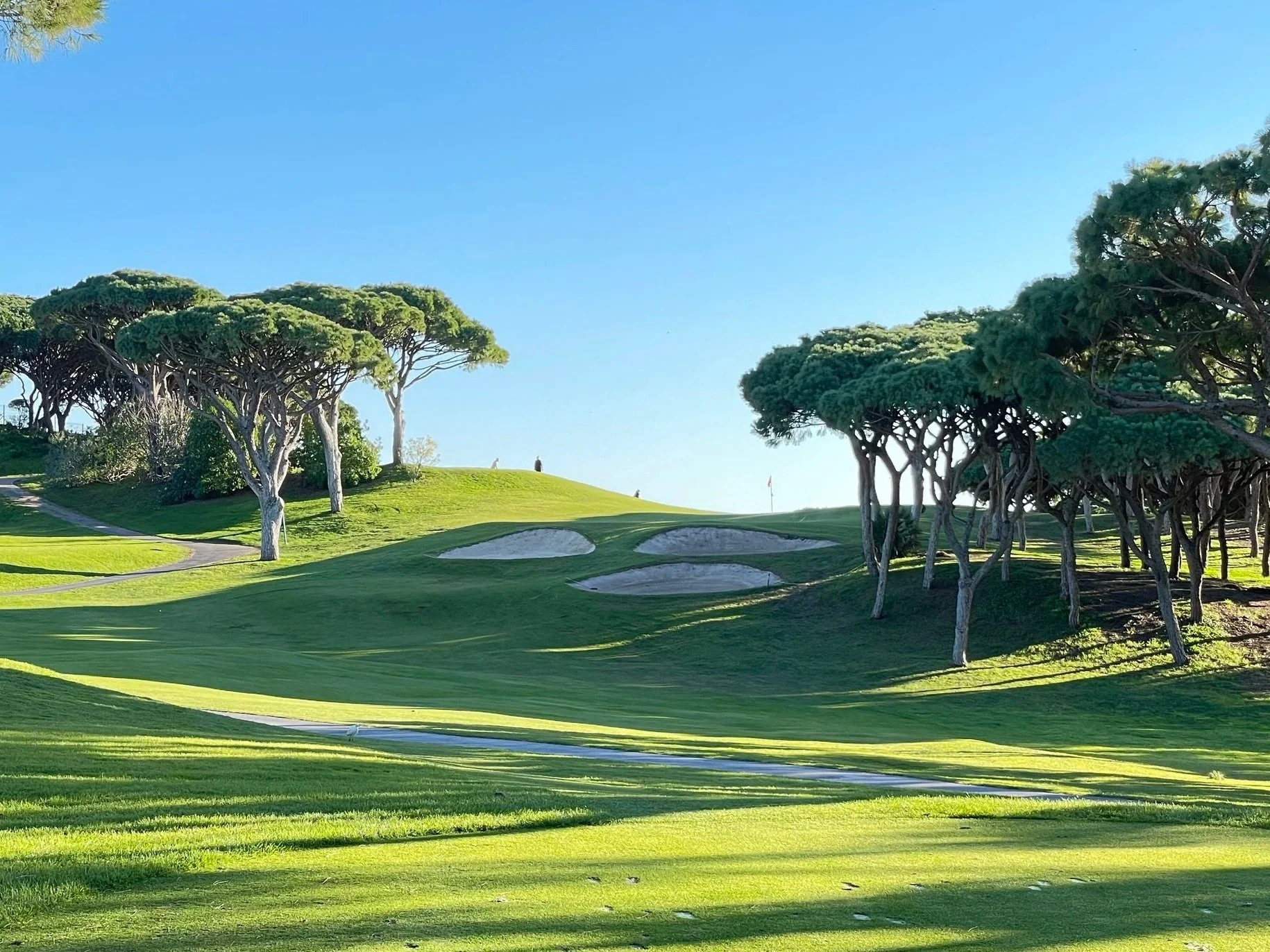 A golf course with a green, sand bunkers, and tall umbrella-shaped trees under a clear blue sky.
