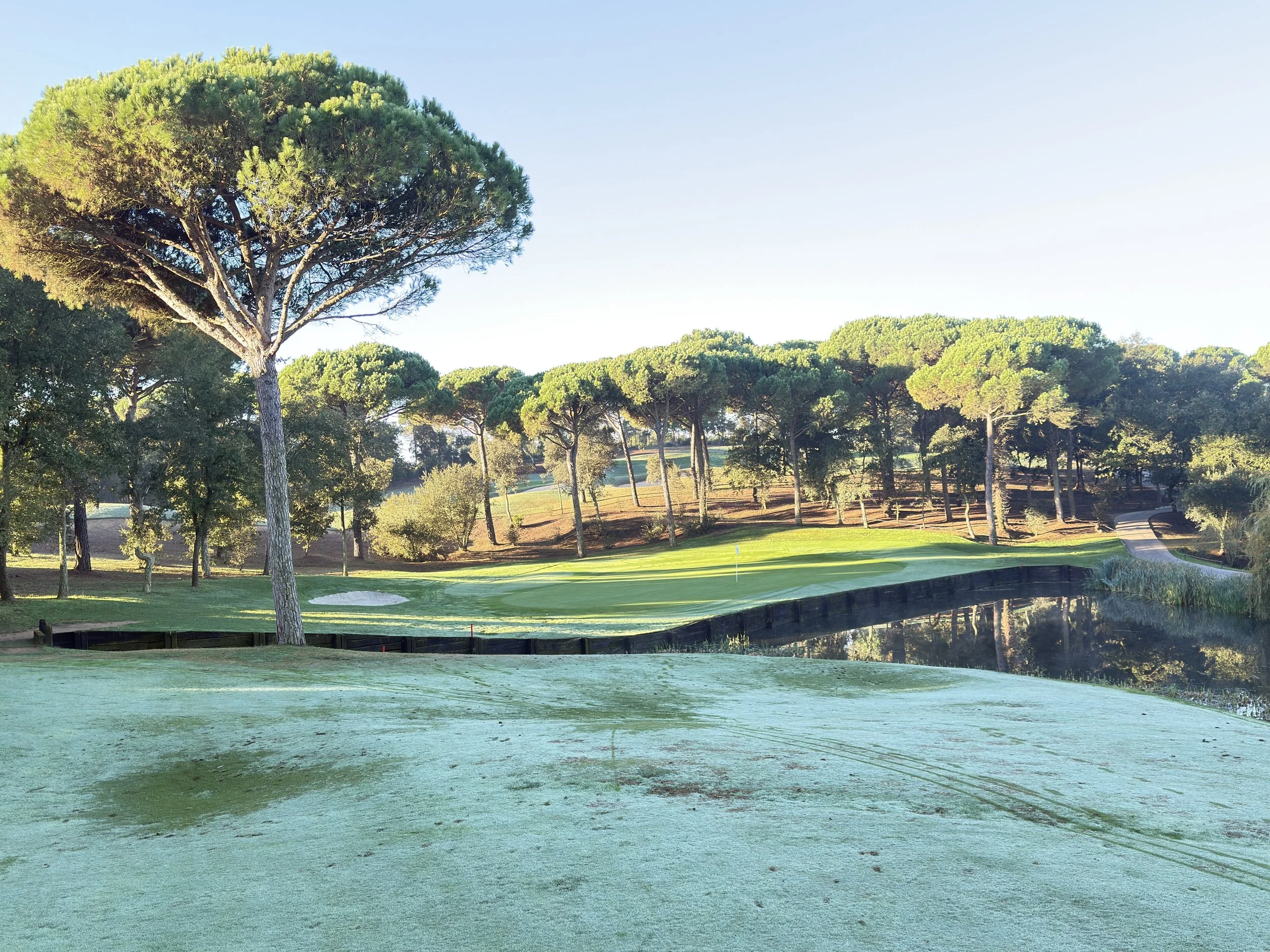 A golf course with a pond, surrounded by trees, bright sunlight, and a clear blue sky.