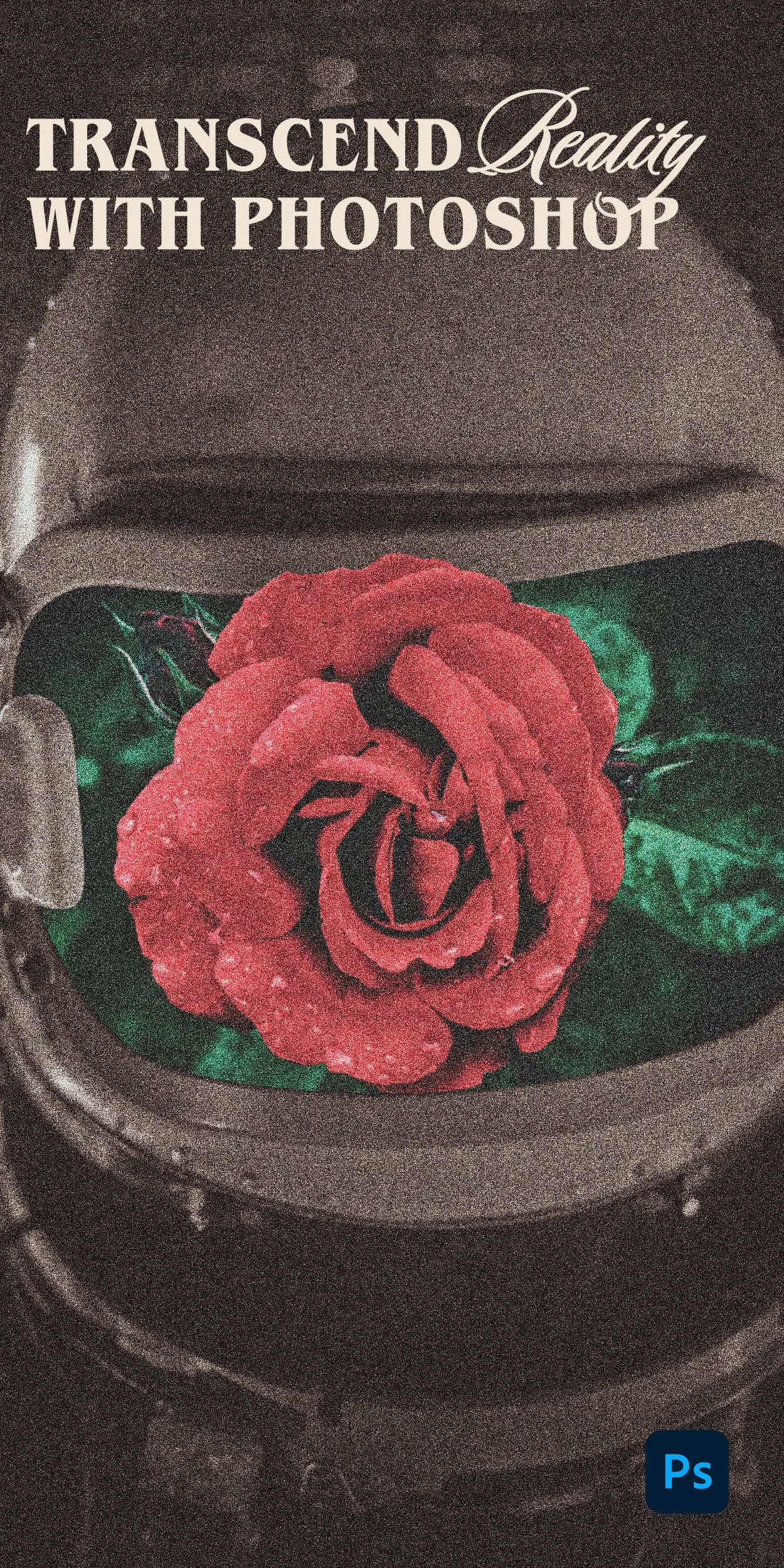 Photoshop_Web Ads_Final3.jpg