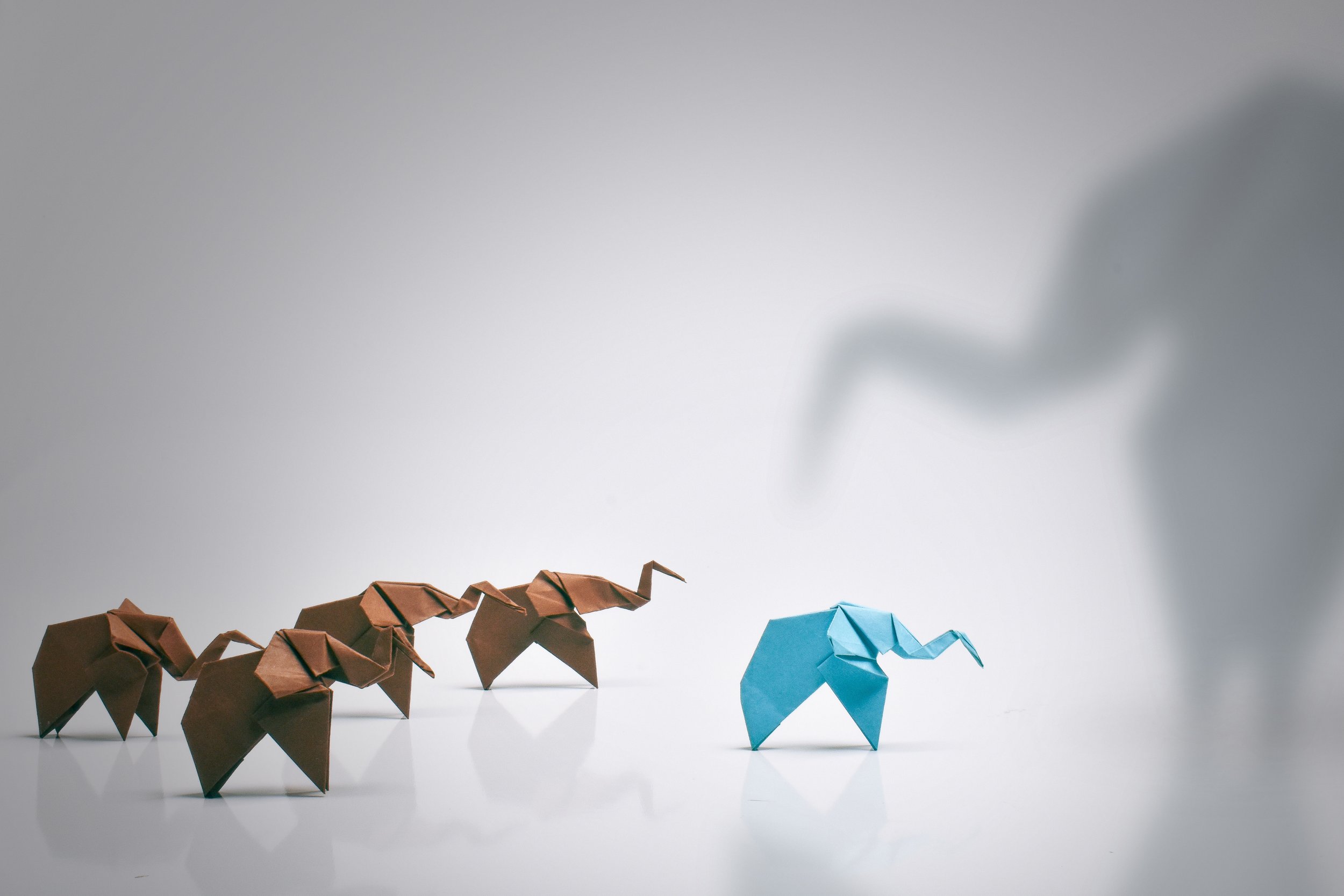 Design Foundations - Origami Elephants