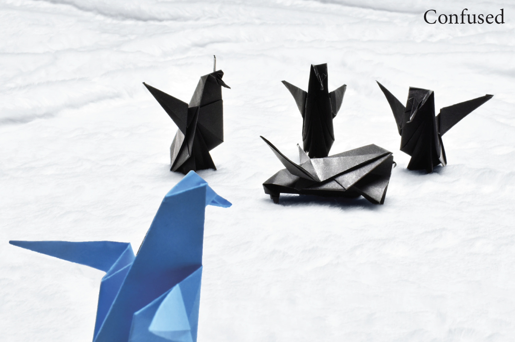 Screenshot 2025-06-29 at 2.50.22 PM.png