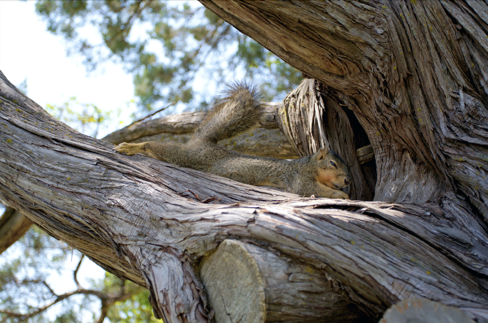 Screen Shot 2024-04-27 at 3.50.25 PM.png