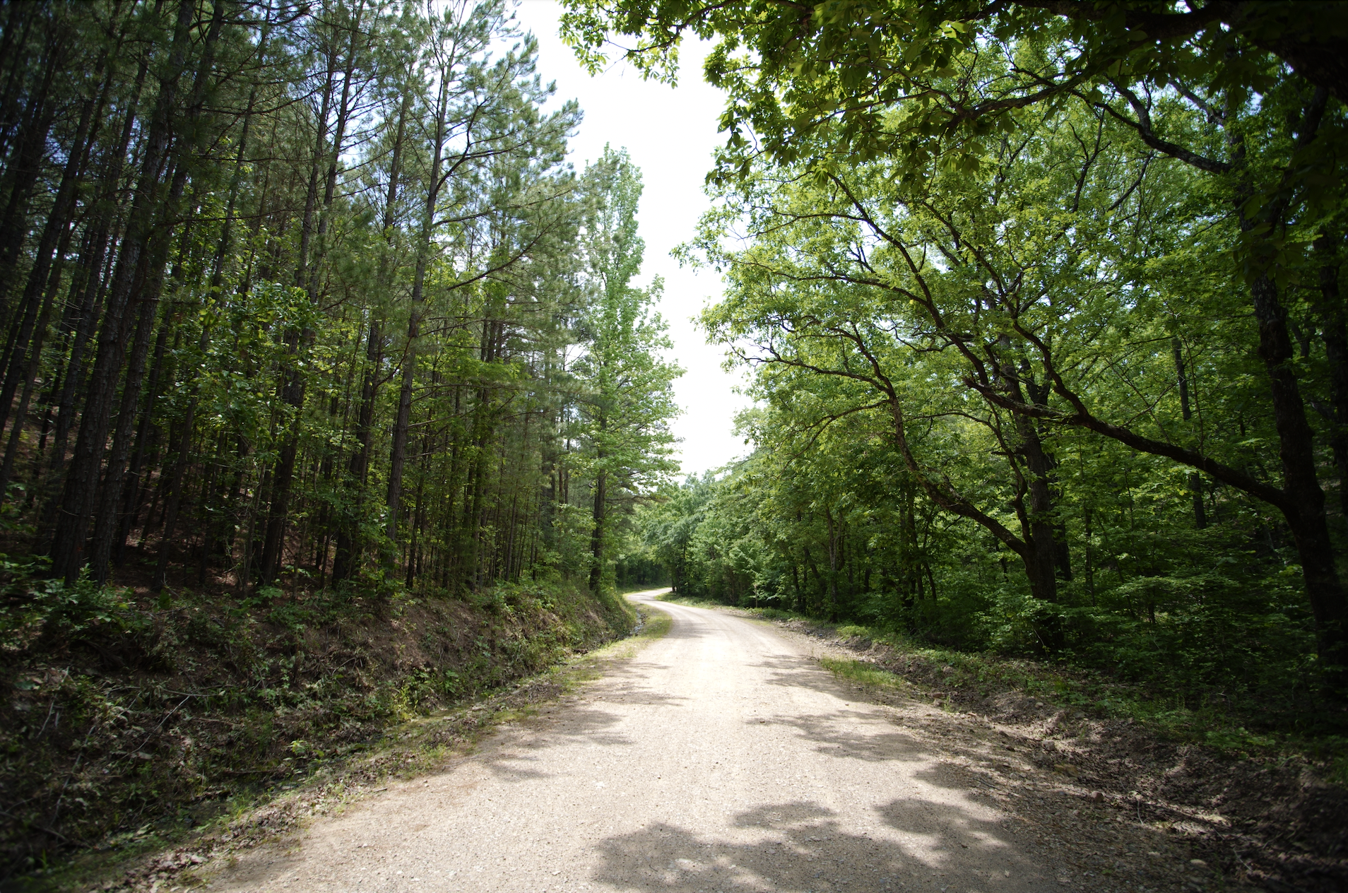 Screen Shot 2024-04-27 at 3.51.41 PM.png