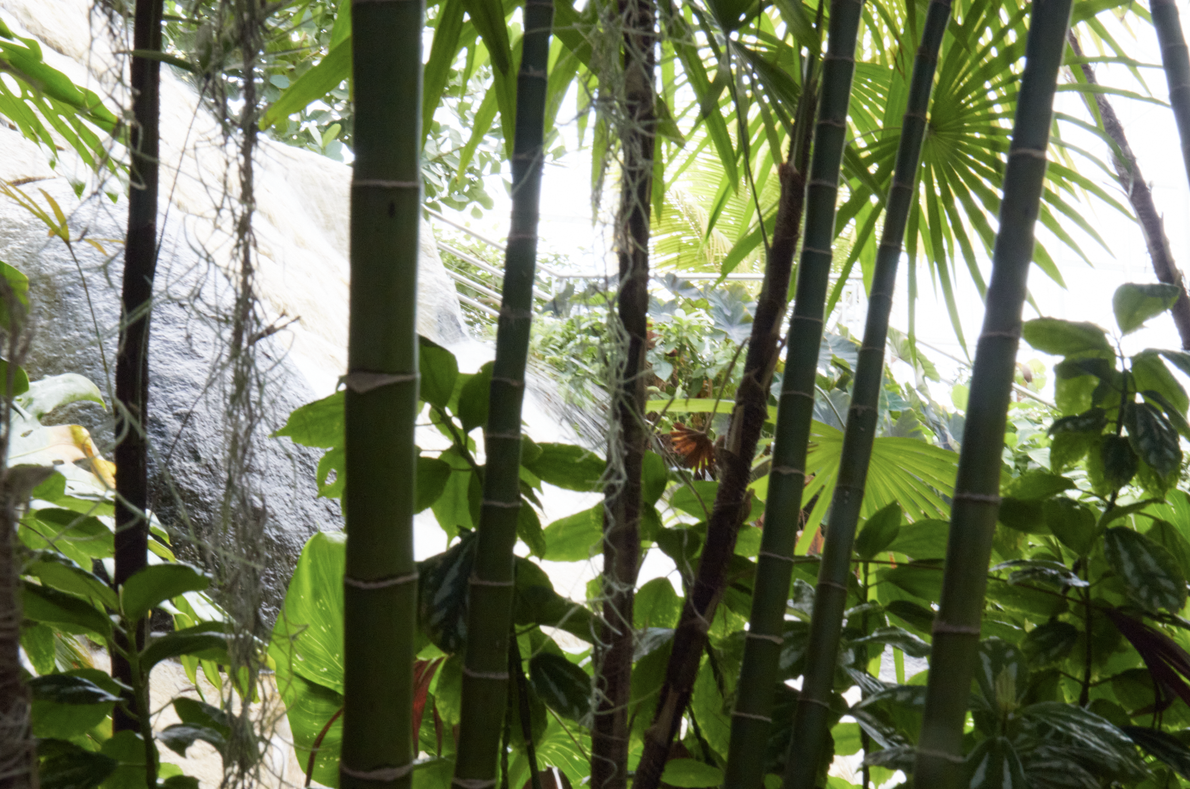 Screenshot 2025-12-29 at 4.46.13 PM.png