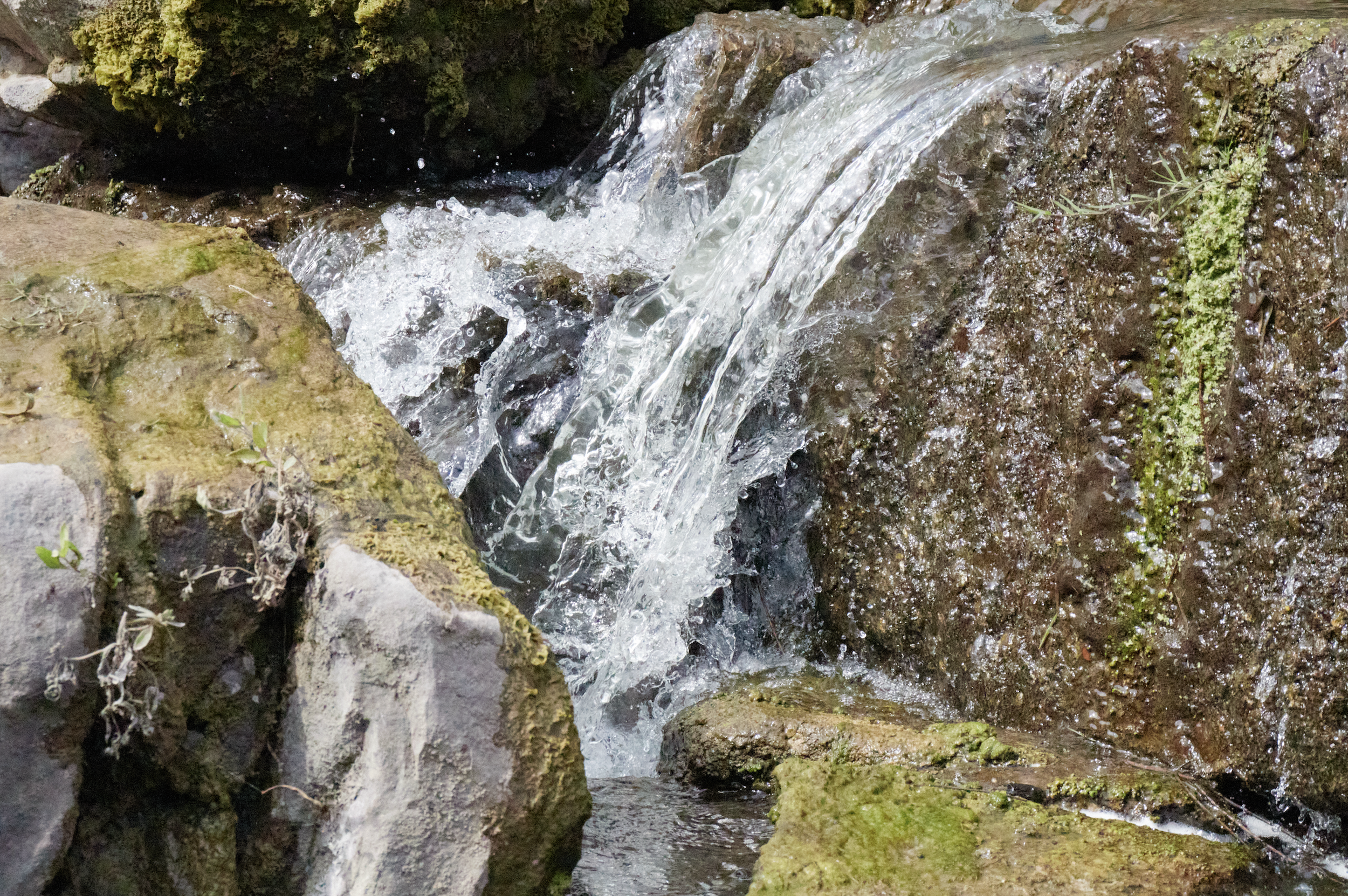 Screenshot 2025-12-29 at 4.48.47 PM.png