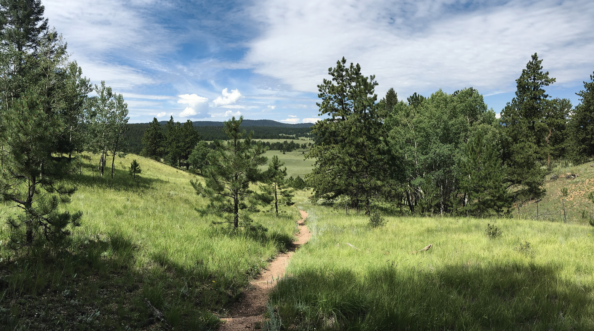  Monument, Palmer Lake, and Woodmoor