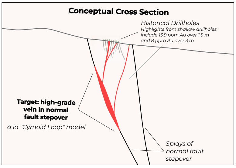 Conceptual cross section of the target at Cinnamon Whiskey, in which high-grade vein mineralization may underlie the historically drilled, near-surface zone of low-grade gold mineralization.