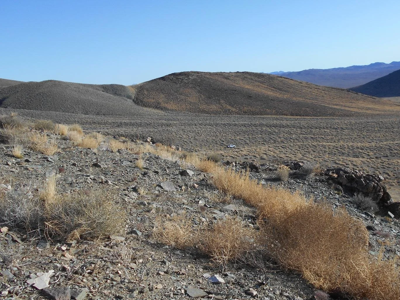 View of the Cinnamon Whiskey project with mineralized vein outcrops in the foreground.