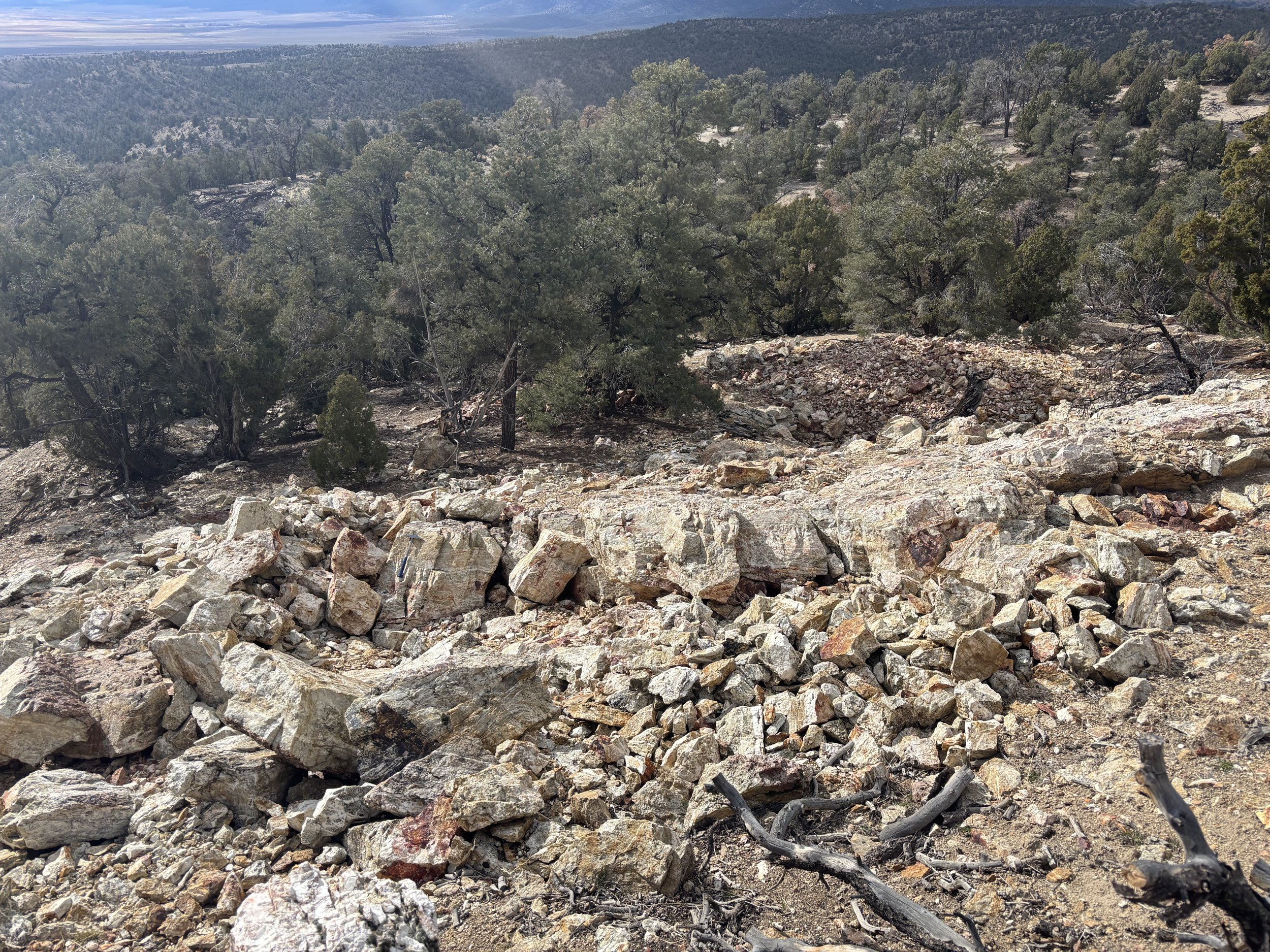 A landscape on a mountain with numerous scattered rocks and trees, with distant mountain ranges and a partly cloudy sky in the background.