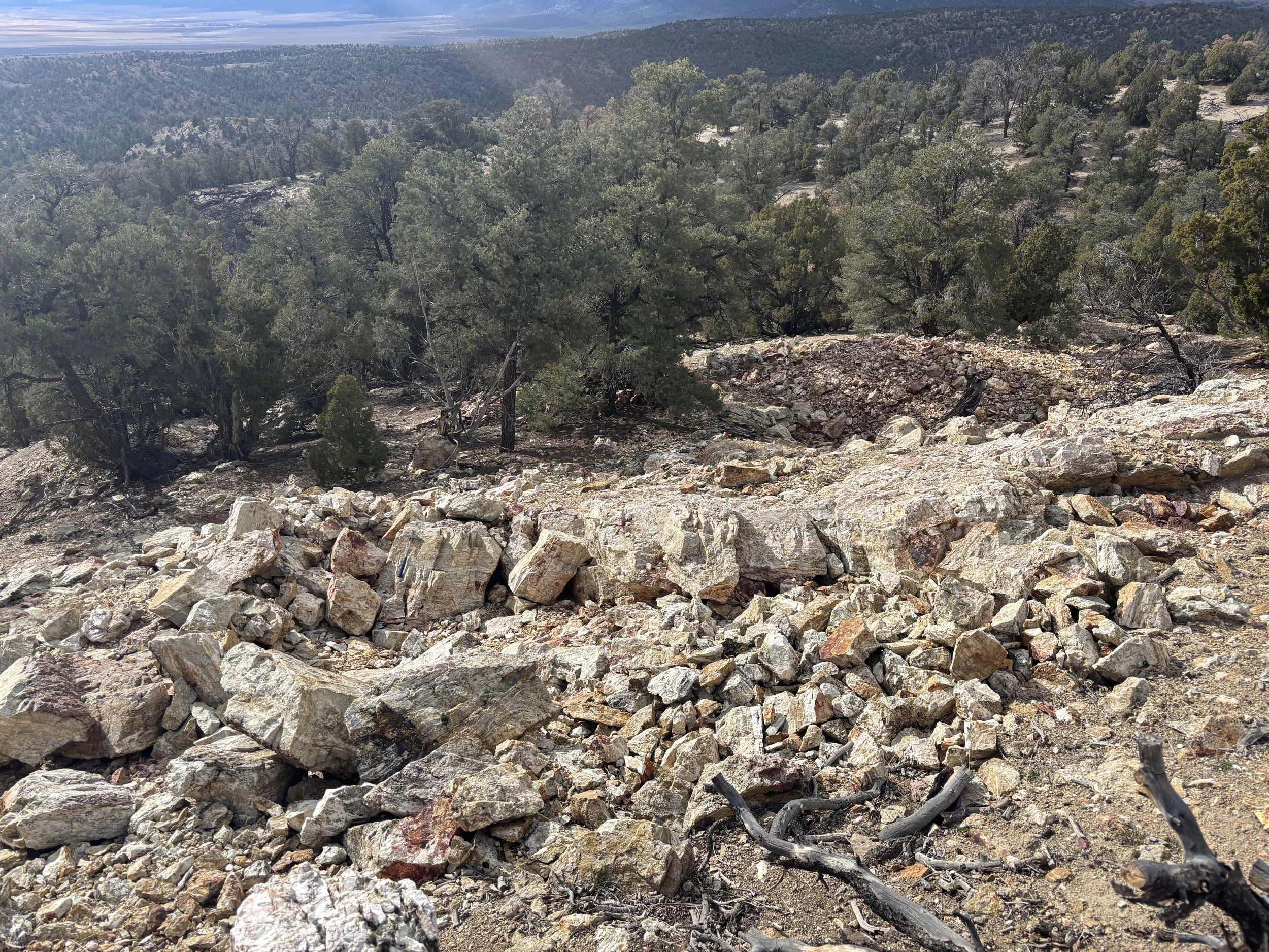 Early-stage high-grade gold-silver vein system with widespread outcropping quartz veining, exceptional surface grades, and largely untested structural targets.