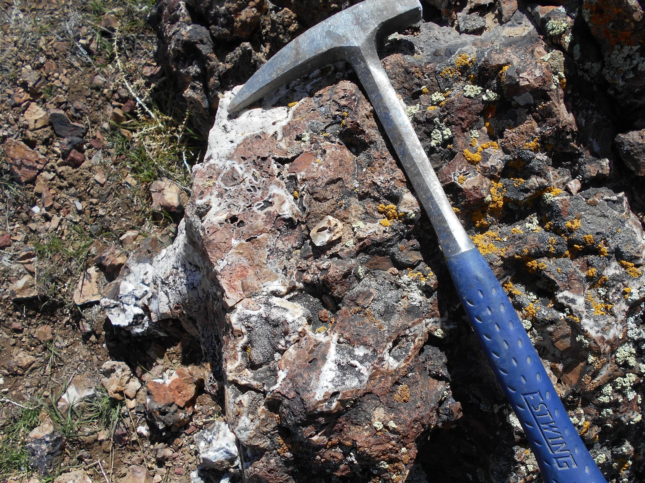 Outcropping low-sulfidation epithermal gold-silver system with high-grade surface and drill results and significant untested potential at depth.