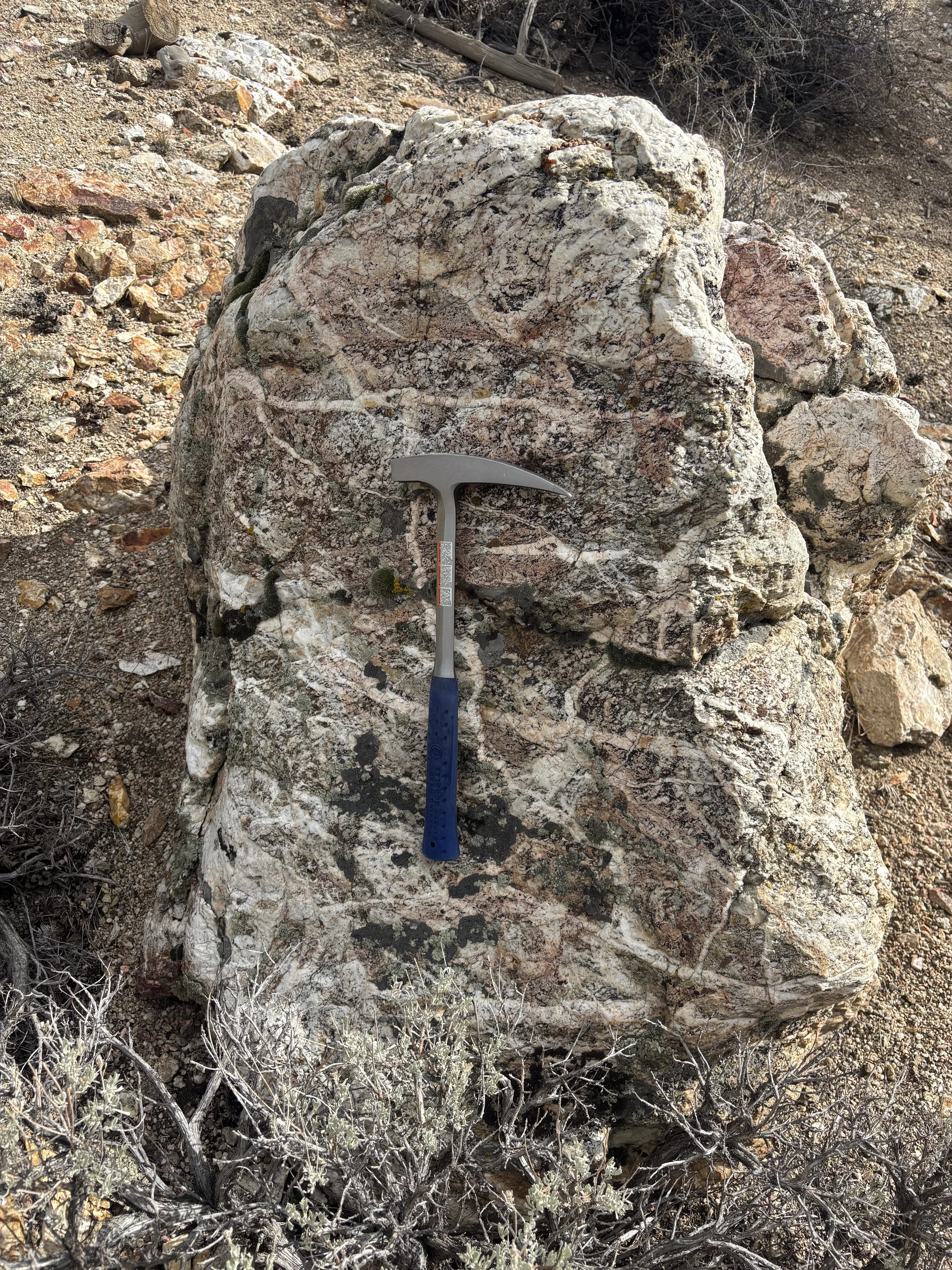 Large rock in dry, desert-like terrain with a hammer resting against it. Small plants and dried bushes are around the rock, with a hillside and some dead trees in the background.