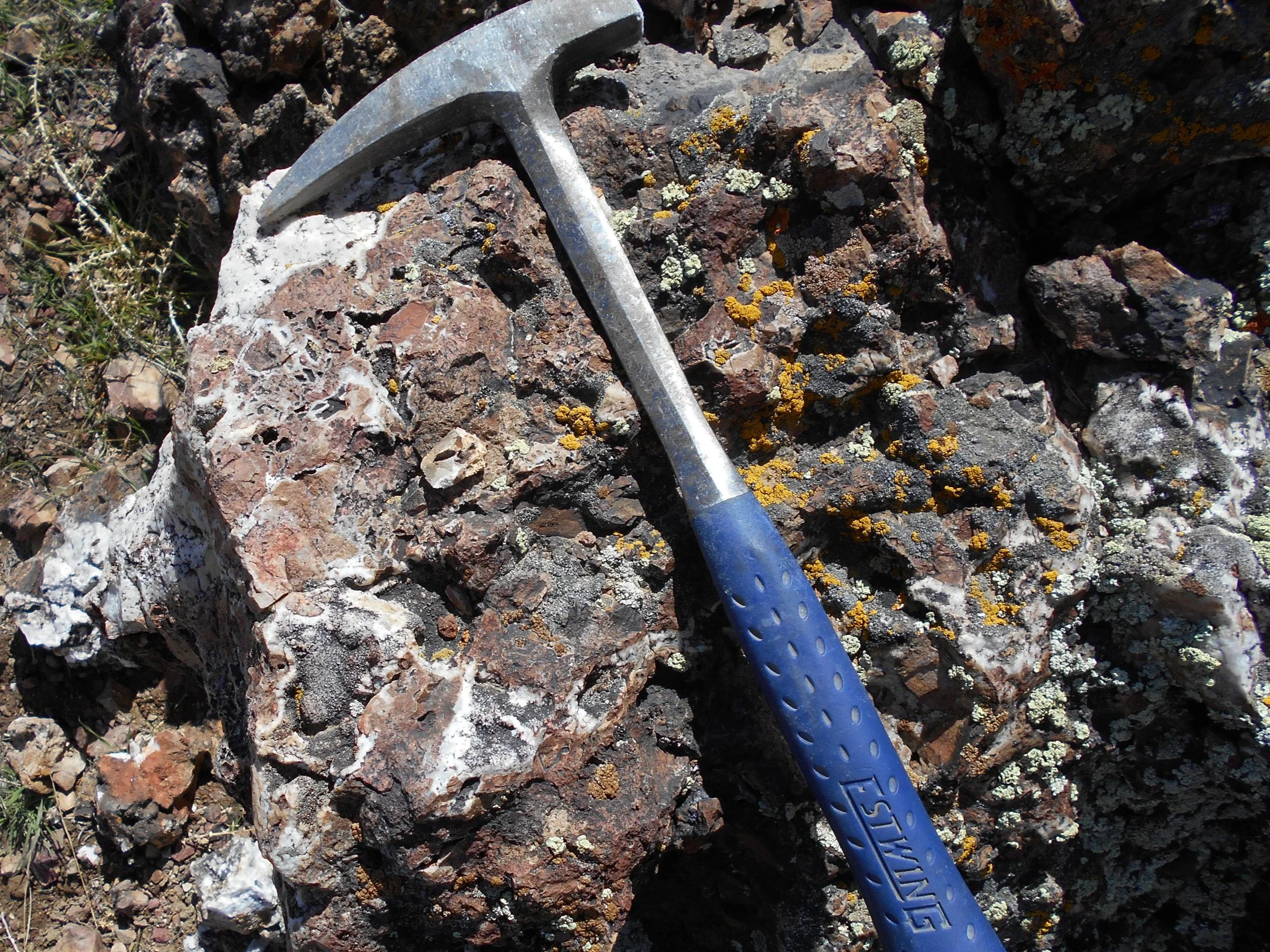 Mineralized epithermal vein breccia at Cinnamon Whiskey.