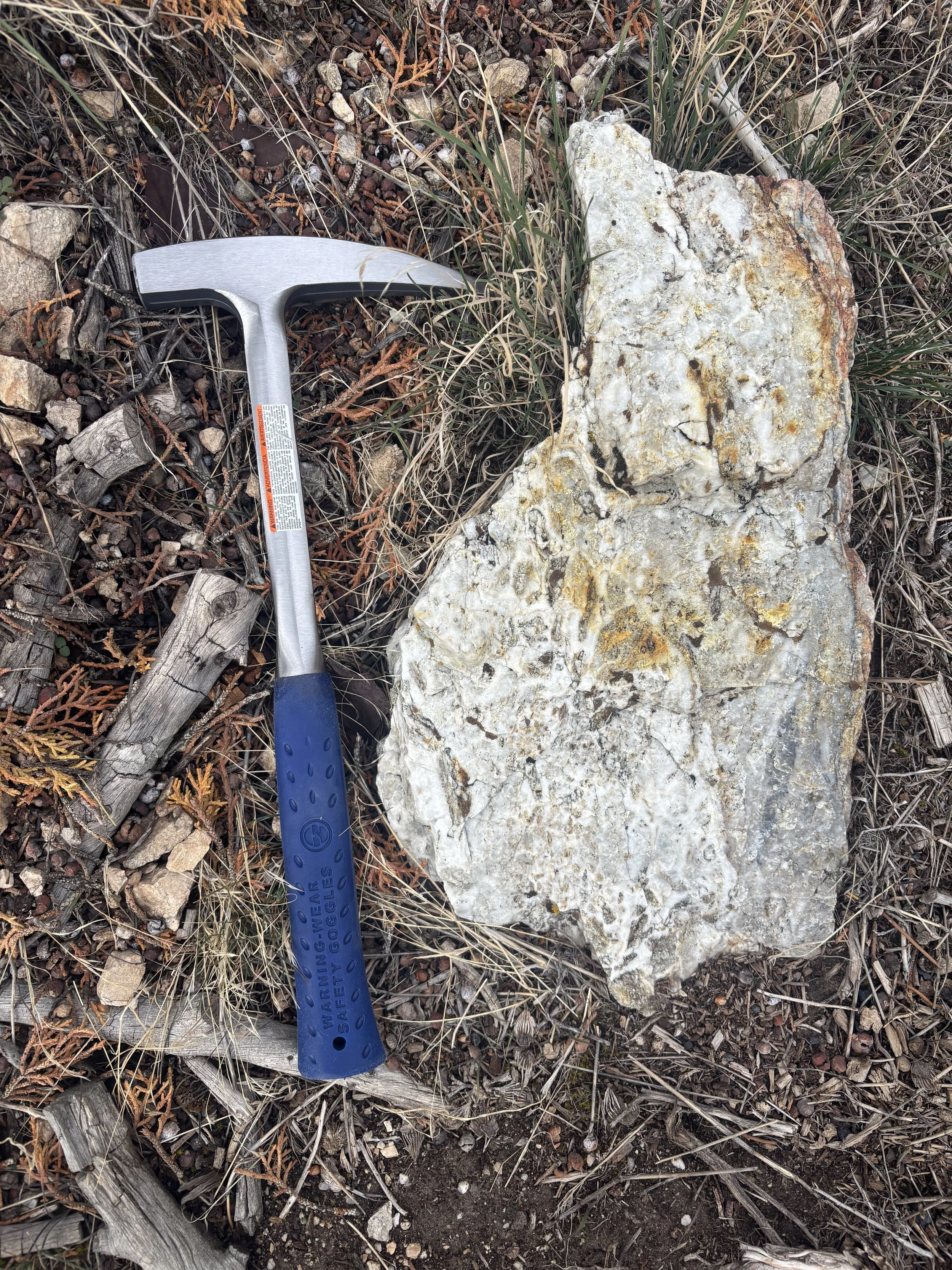 A rock with a diameter of around 12 inches is lying on the ground surrounded by dry grass, small rocks, and wood pieces. A hammer with a blue handle is placed next to the rock for scale, indicating the rock's size.