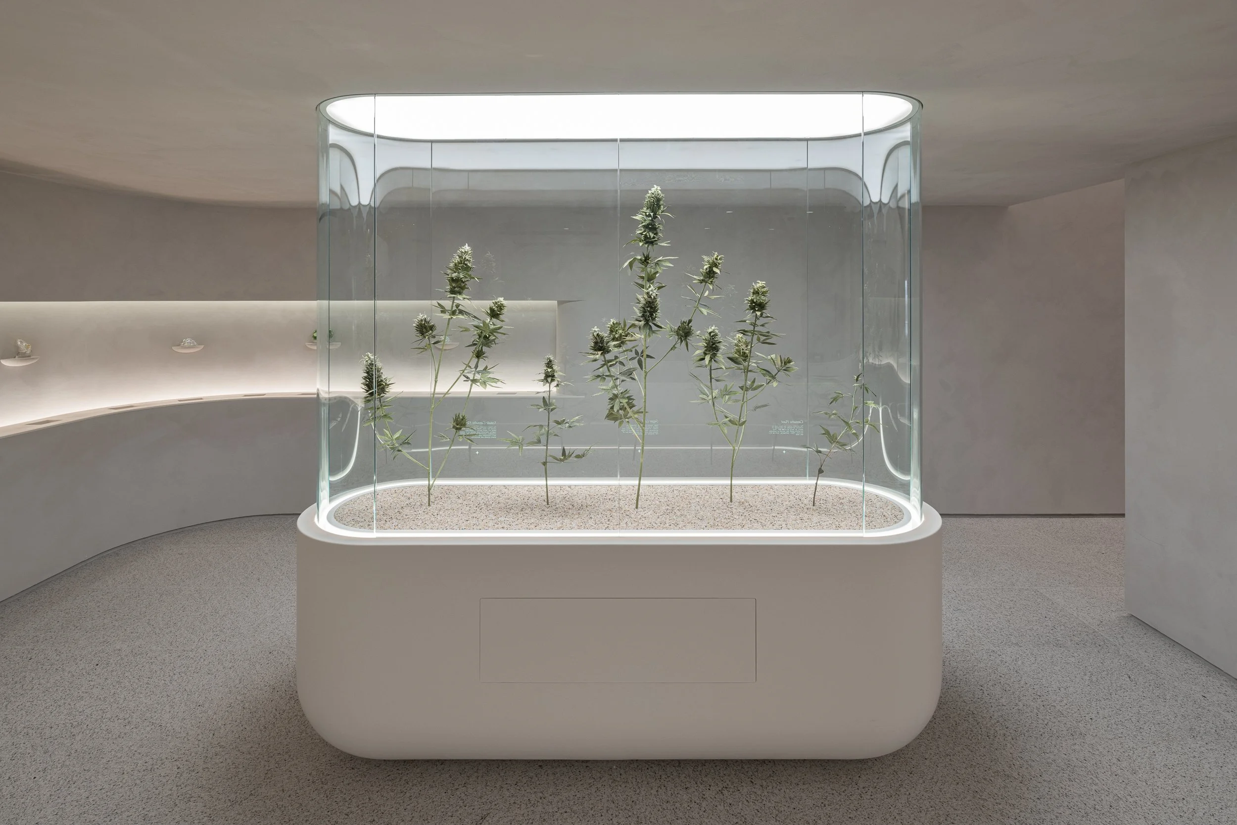 The Travel Agency_5th Ave_WEB-21.jpg