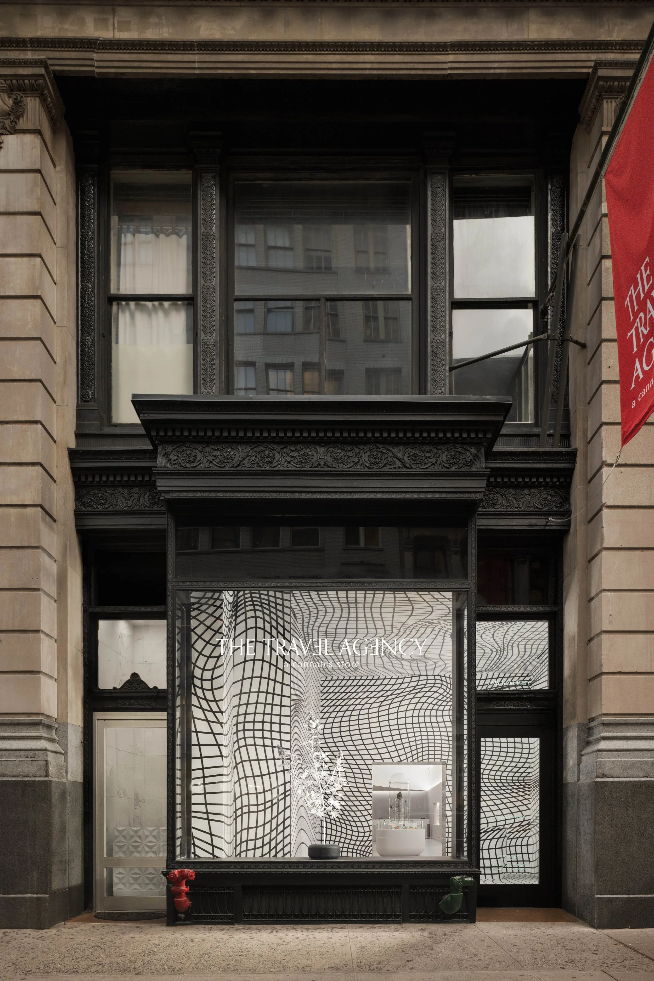 TA_SOHO-1-min.jpg