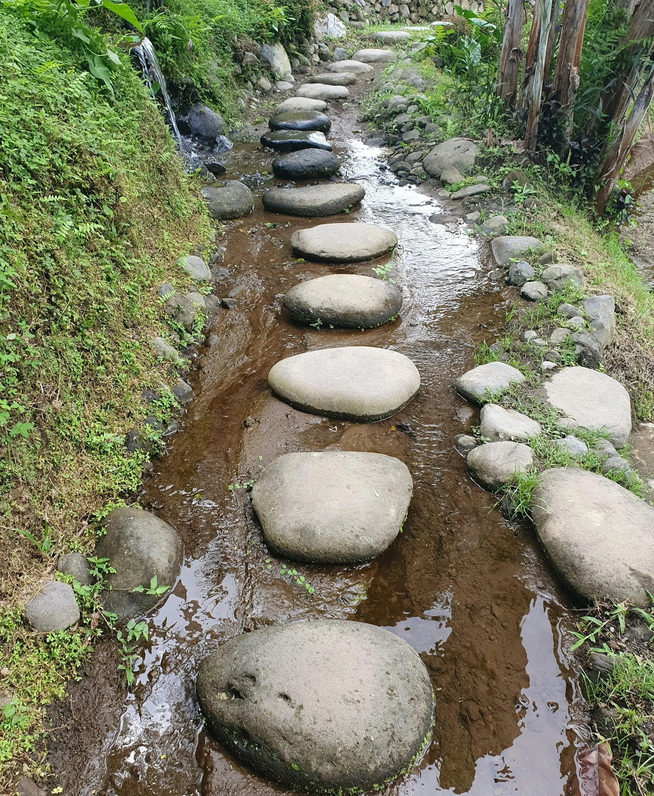 4-Week Concierge Intensive