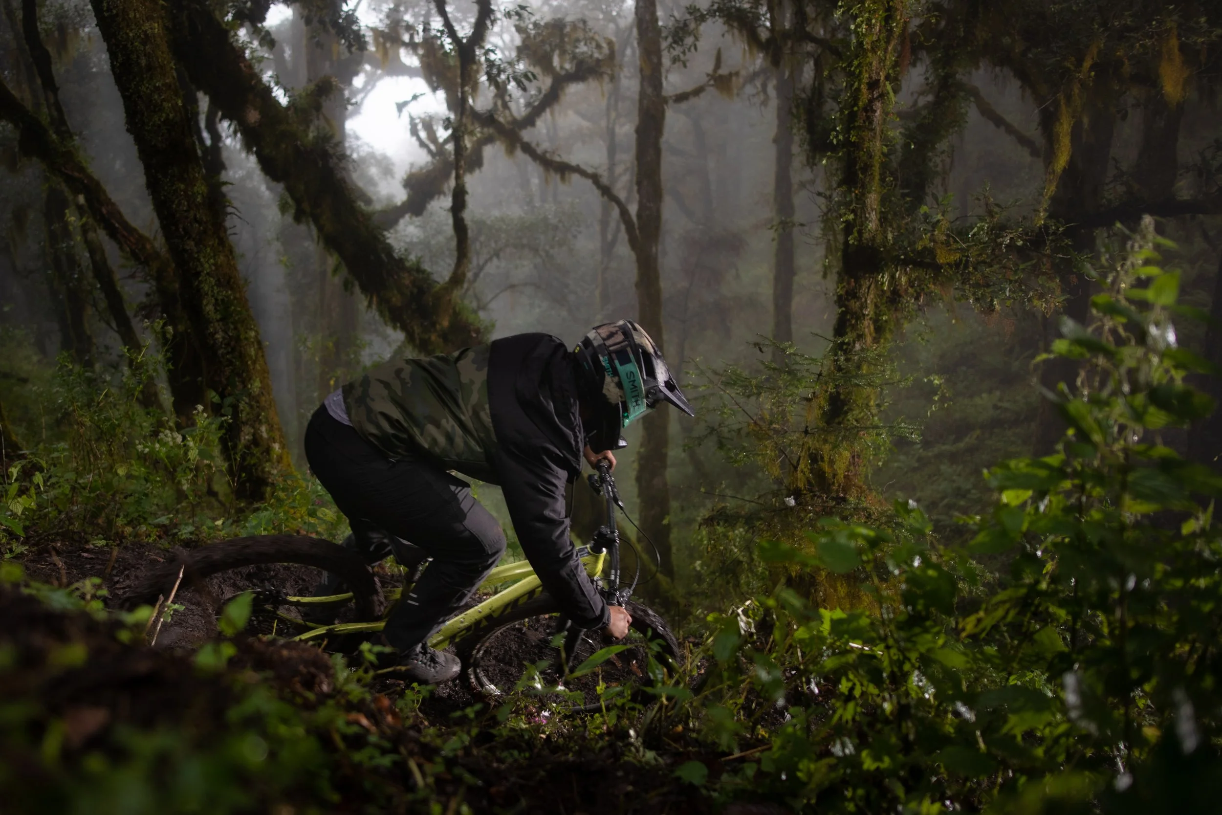 Photo Dec 01 2022, 11 23 29 AM.jpg