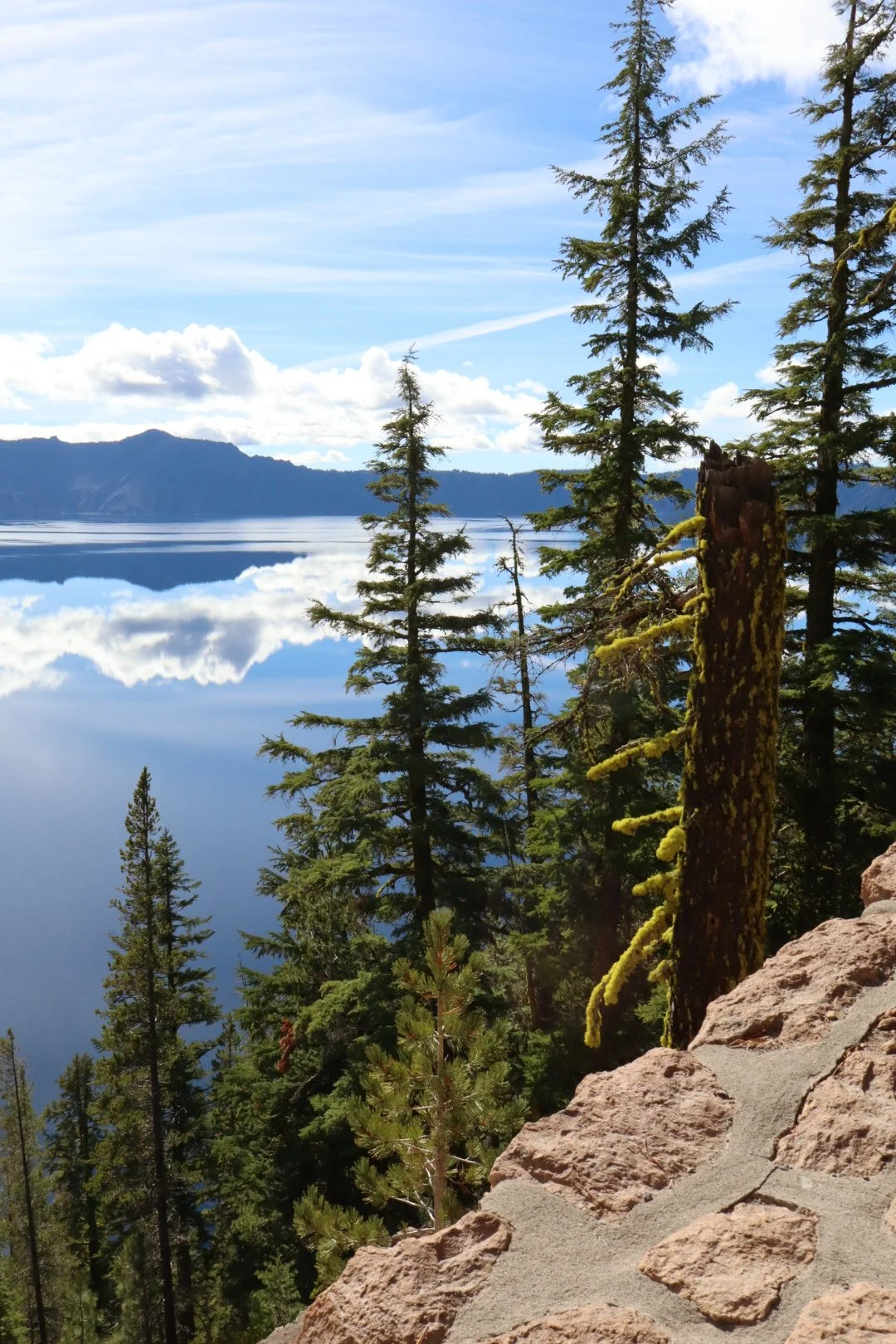 Rise & Rebalance - 3 month program