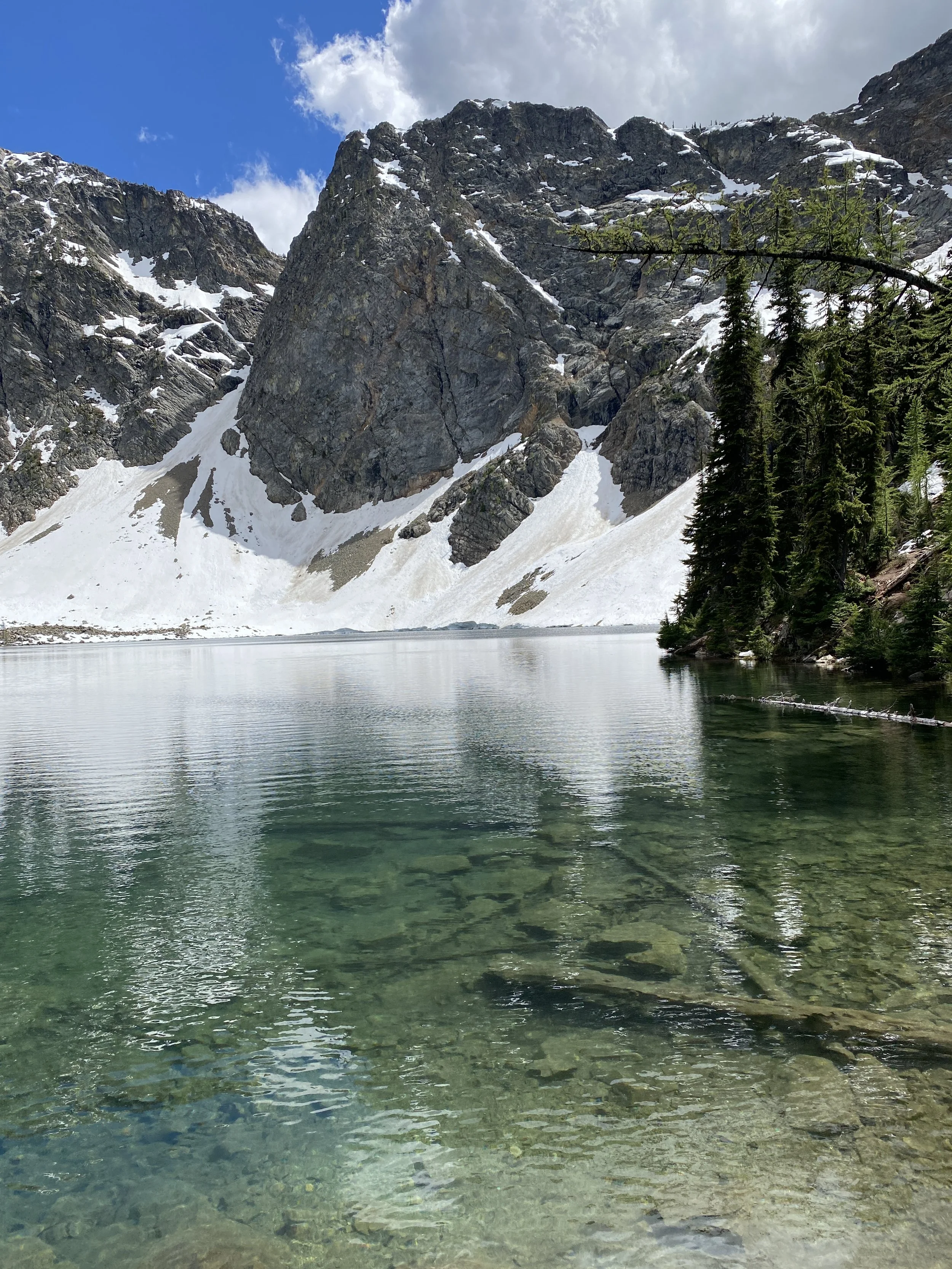 Thrive & Transform - 6 month program