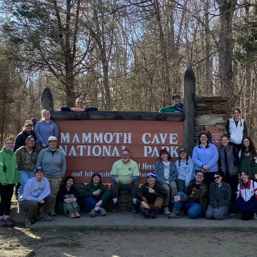 Comprehensive Overview