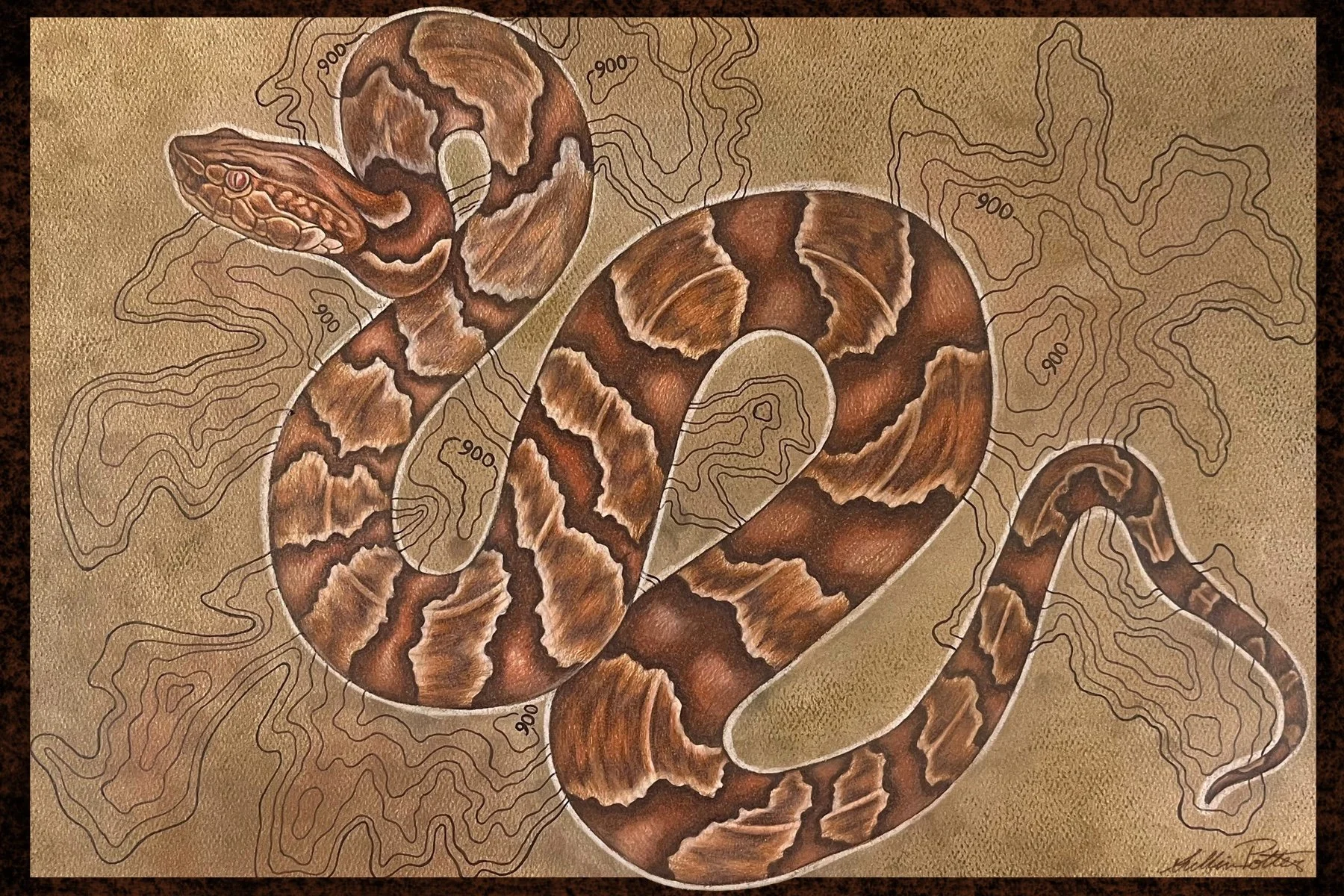 'Calloused by Condition,' Colored Pencil & Soft Pastel, 2025